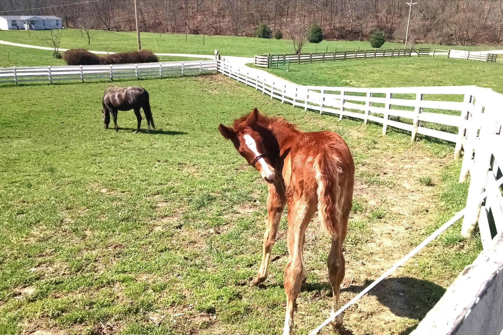 McArthur, Ohio 45651, United States, ,Residential,Active,101813