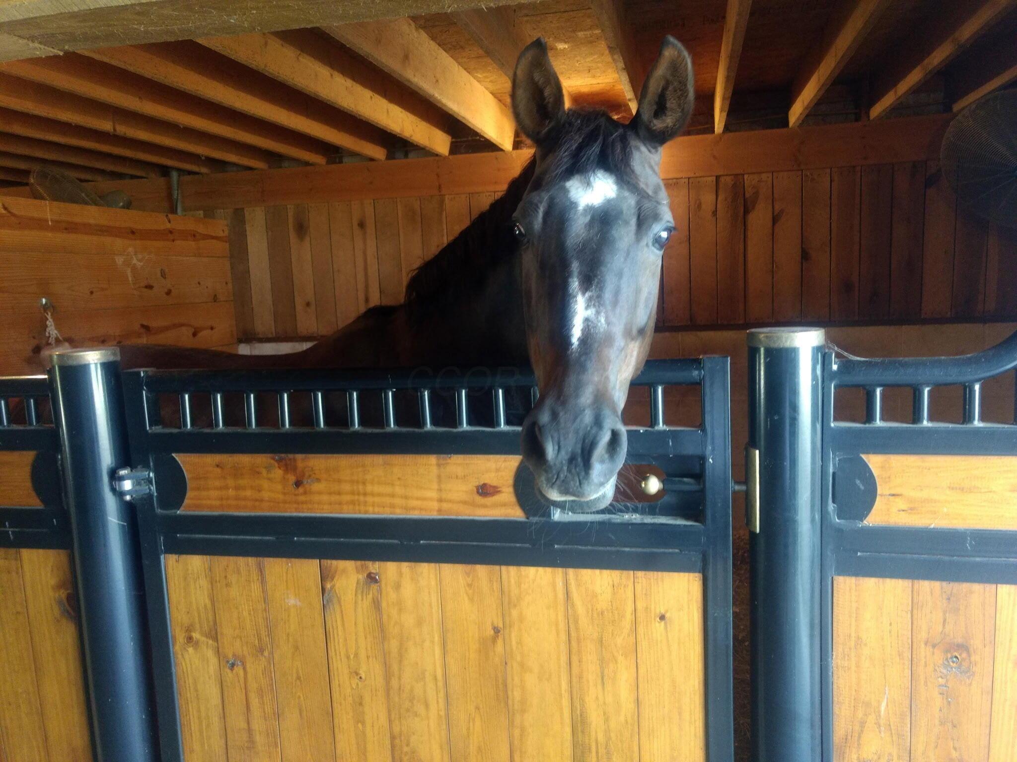 McArthur, Ohio 45651, United States, ,Residential,Active,101813