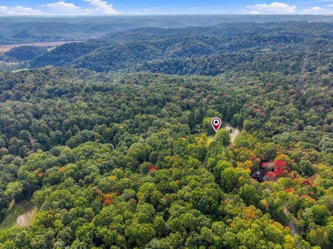 Tiny photo for 22805 Purcell Road, South Bloomingville, OH 43152 (MLS # 226038626)