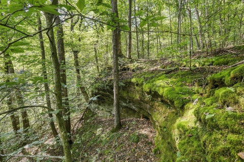 Tiny photo for 22805 Purcell Road, South Bloomingville, OH 43152 (MLS # 226038626)