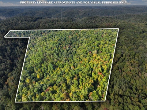 Tiny photo for 22805 Purcell Road, South Bloomingville, OH 43152 (MLS # 226038626)