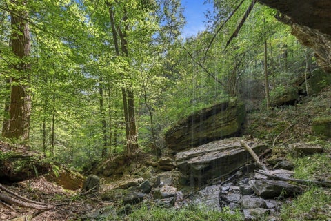 Tiny photo for 22805 Purcell Road, South Bloomingville, OH 43152 (MLS # 226038626)