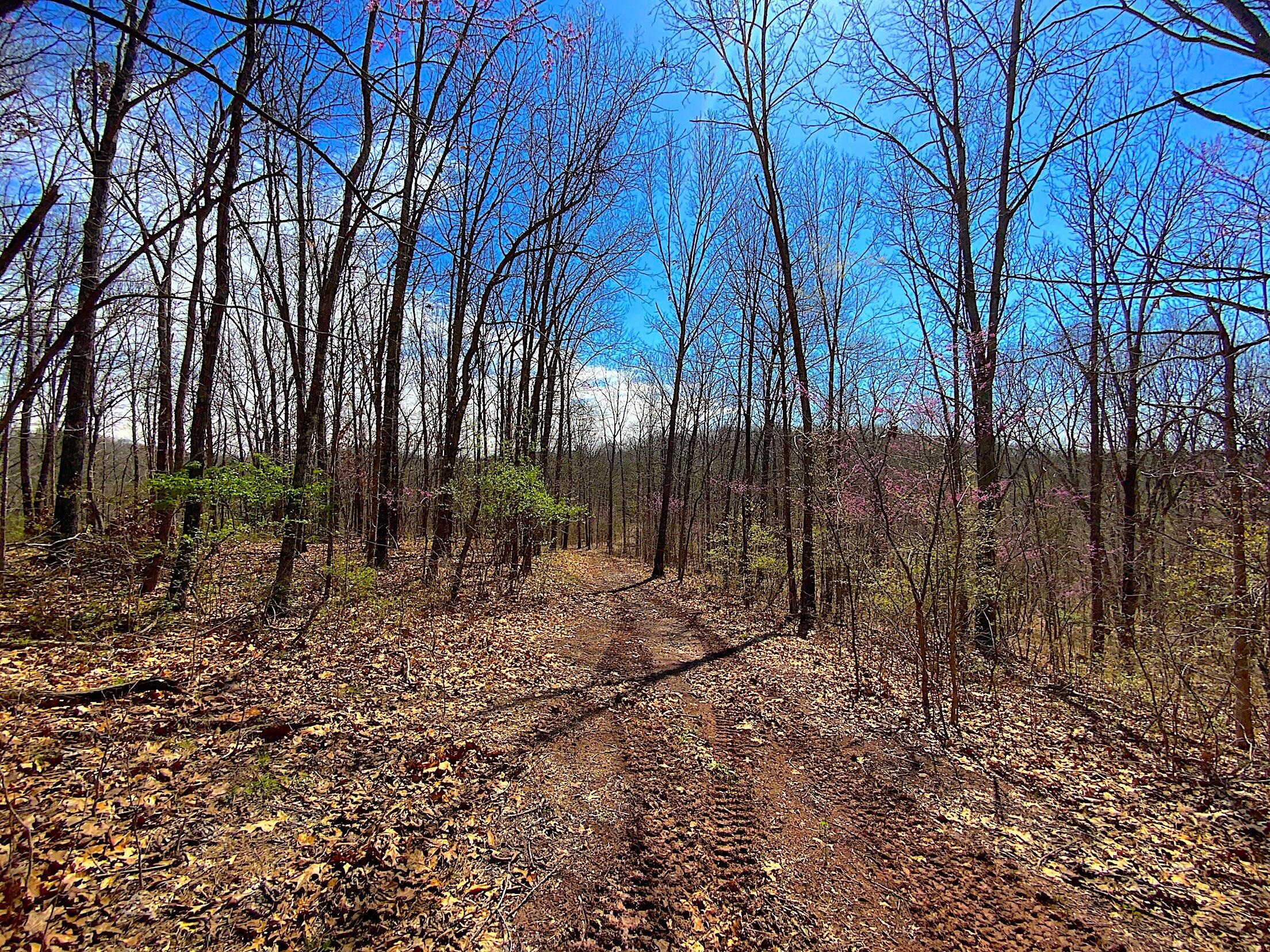 9675 State Route 554, Bidwell, Ohio image 23