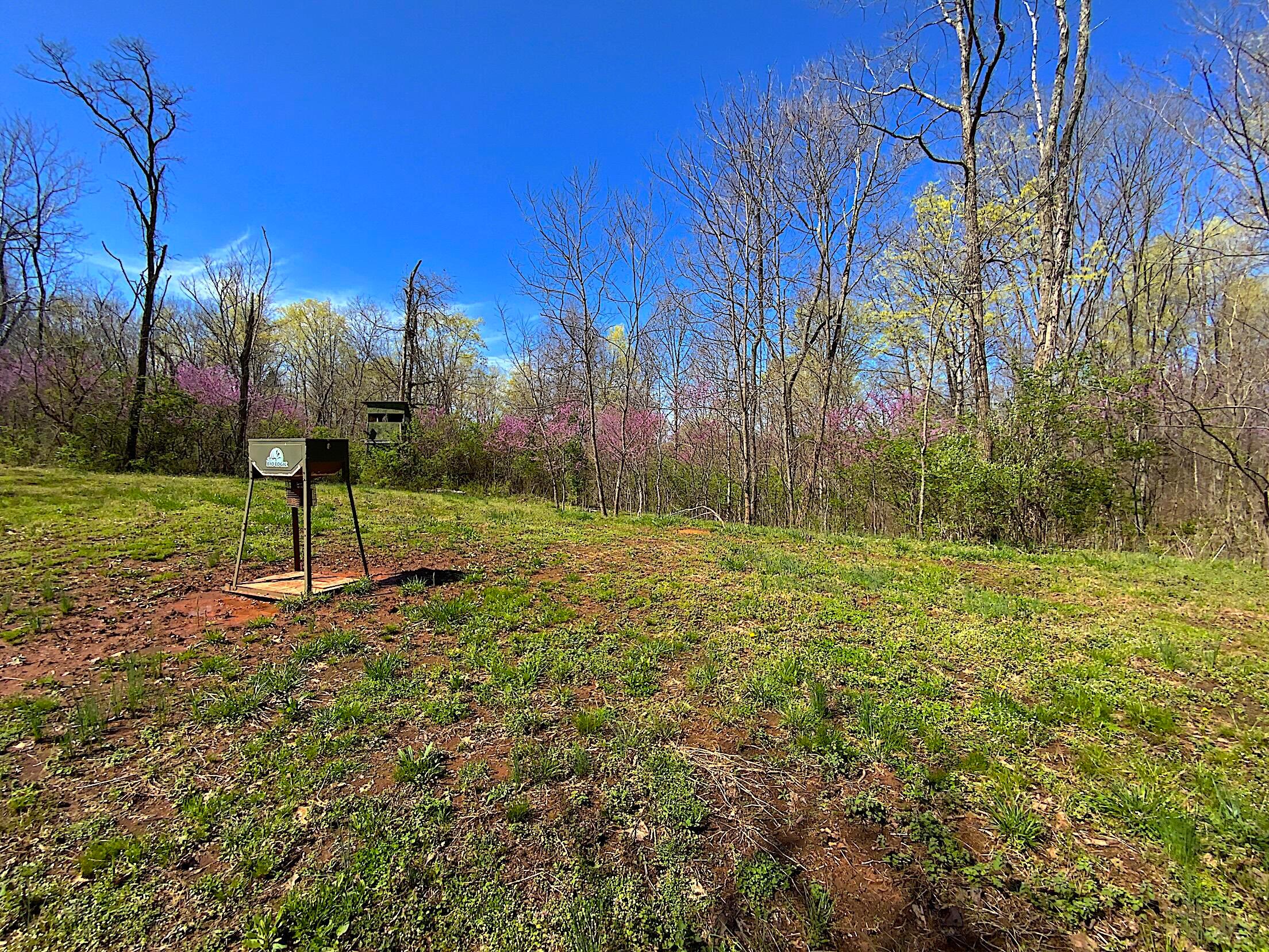9675 State Route 554, Bidwell, Ohio image 14