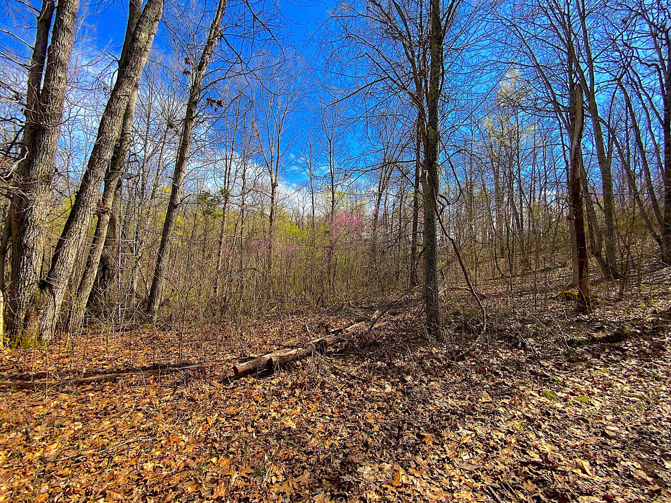9675 State Route 554, Bidwell, Ohio image 27