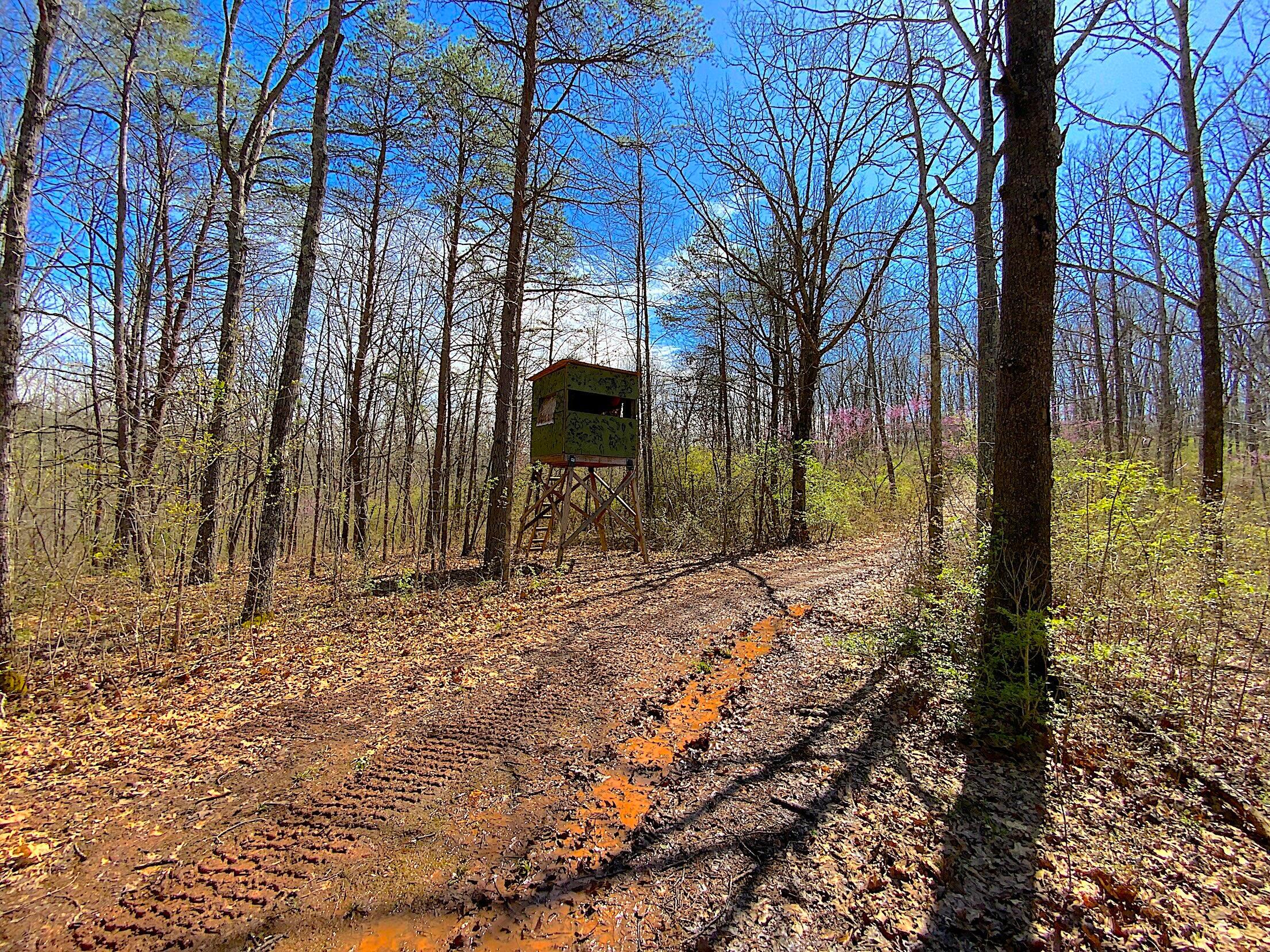 9675 State Route 554, Bidwell, Ohio image 13
