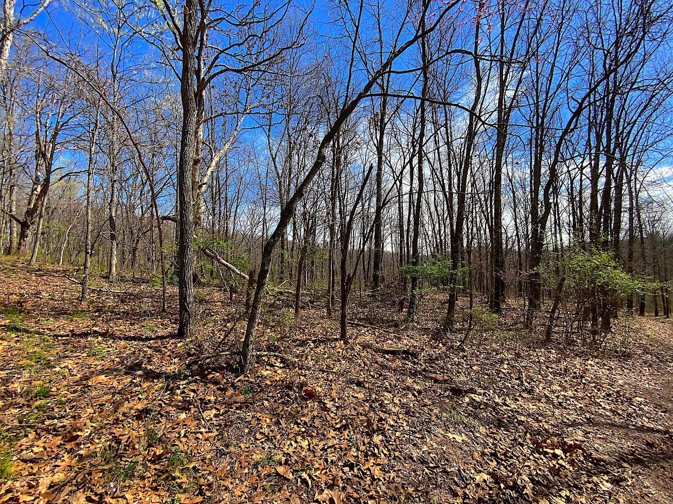 9675 State Route 554, Bidwell, Ohio image 24