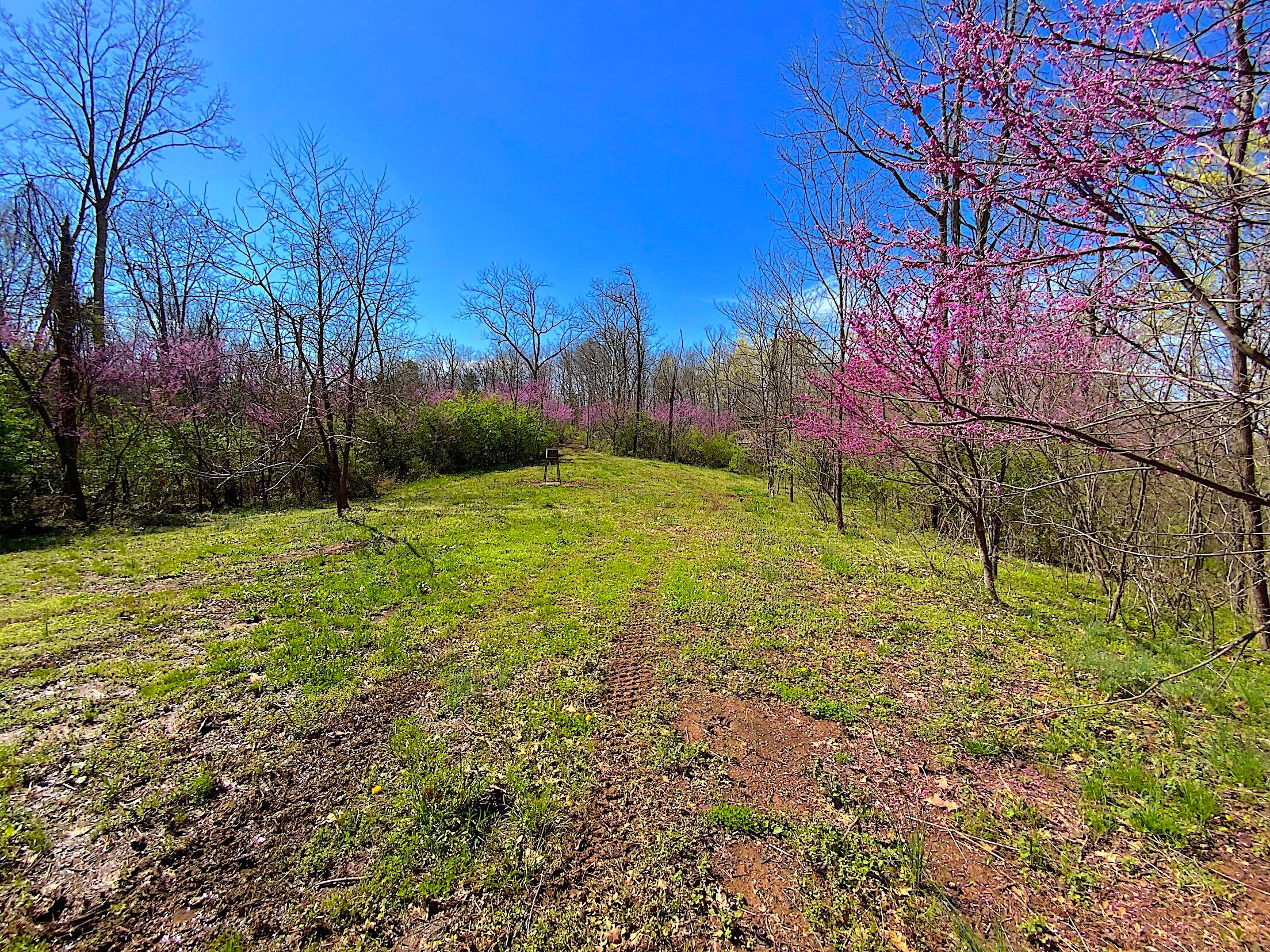 9675 State Route 554, Bidwell, Ohio image 18