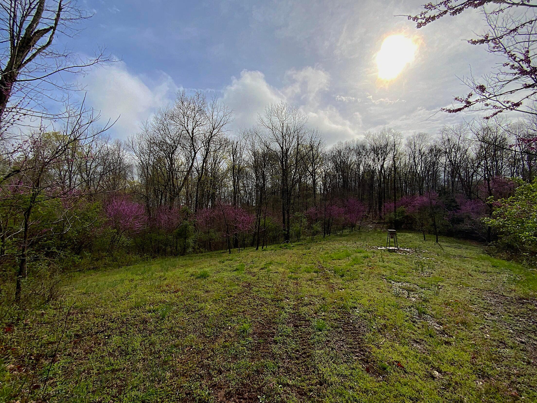 9675 State Route 554, Bidwell, Ohio image 17