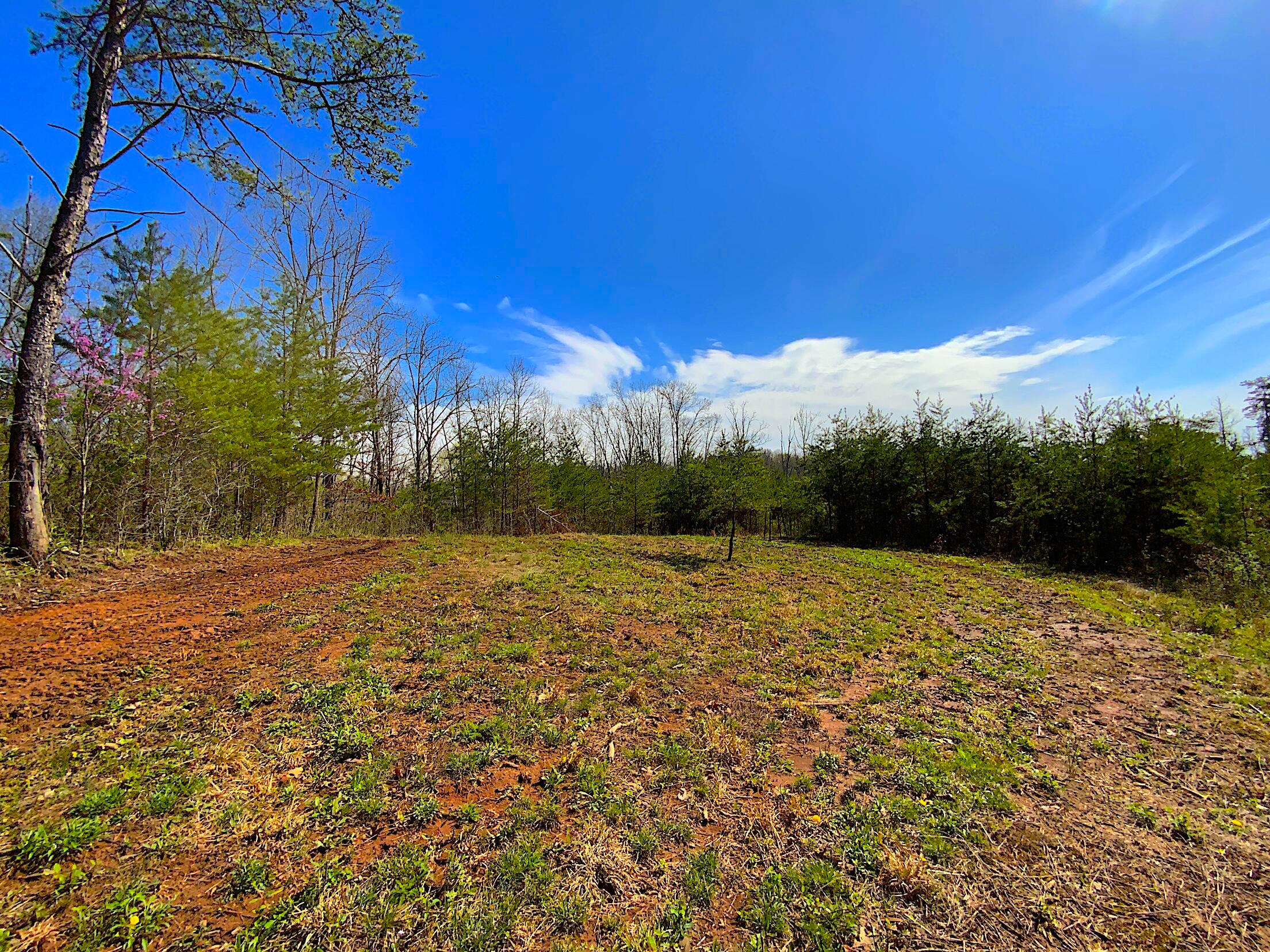 9675 State Route 554, Bidwell, Ohio image 43