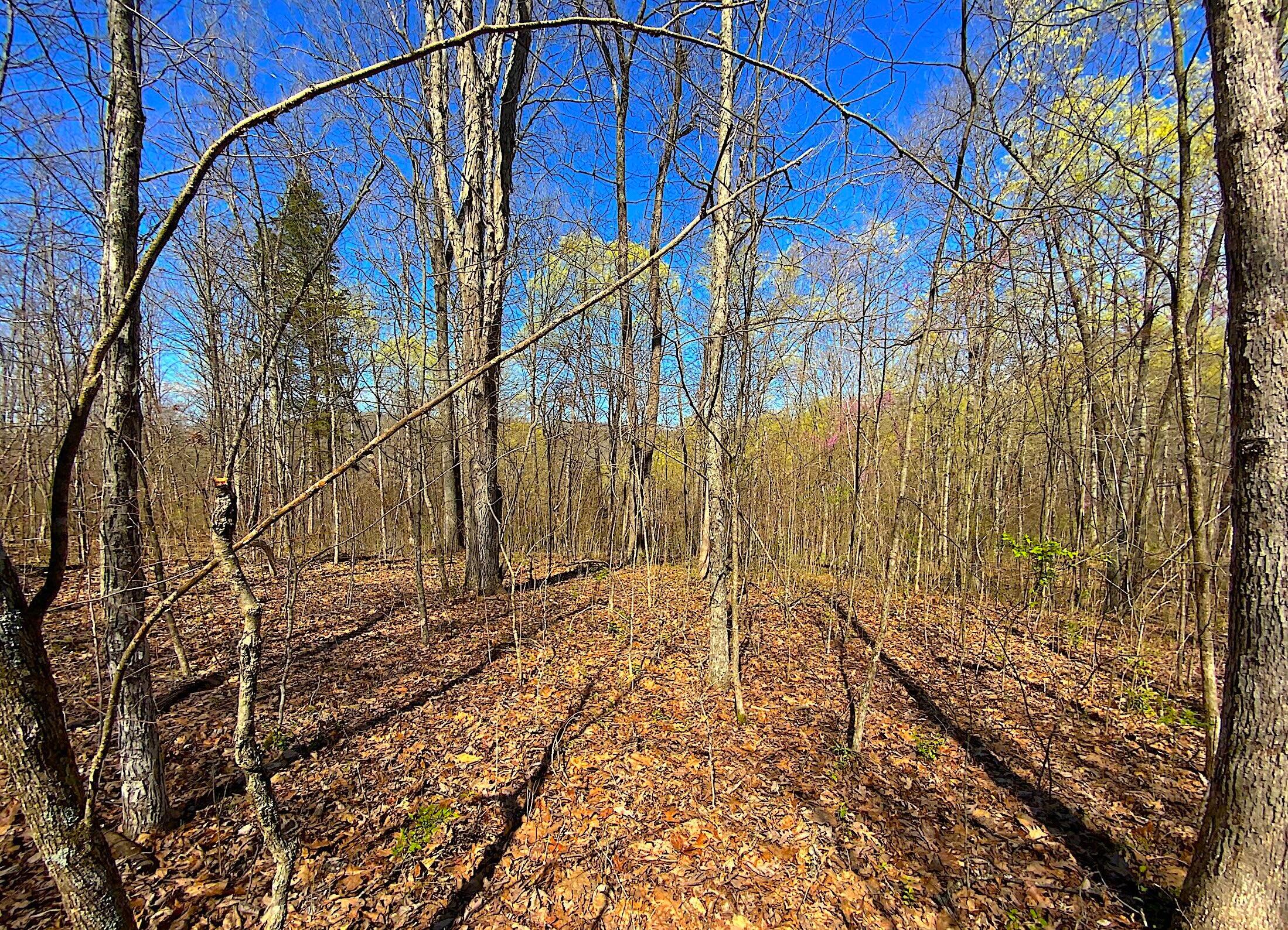 9675 State Route 554, Bidwell, Ohio image 31