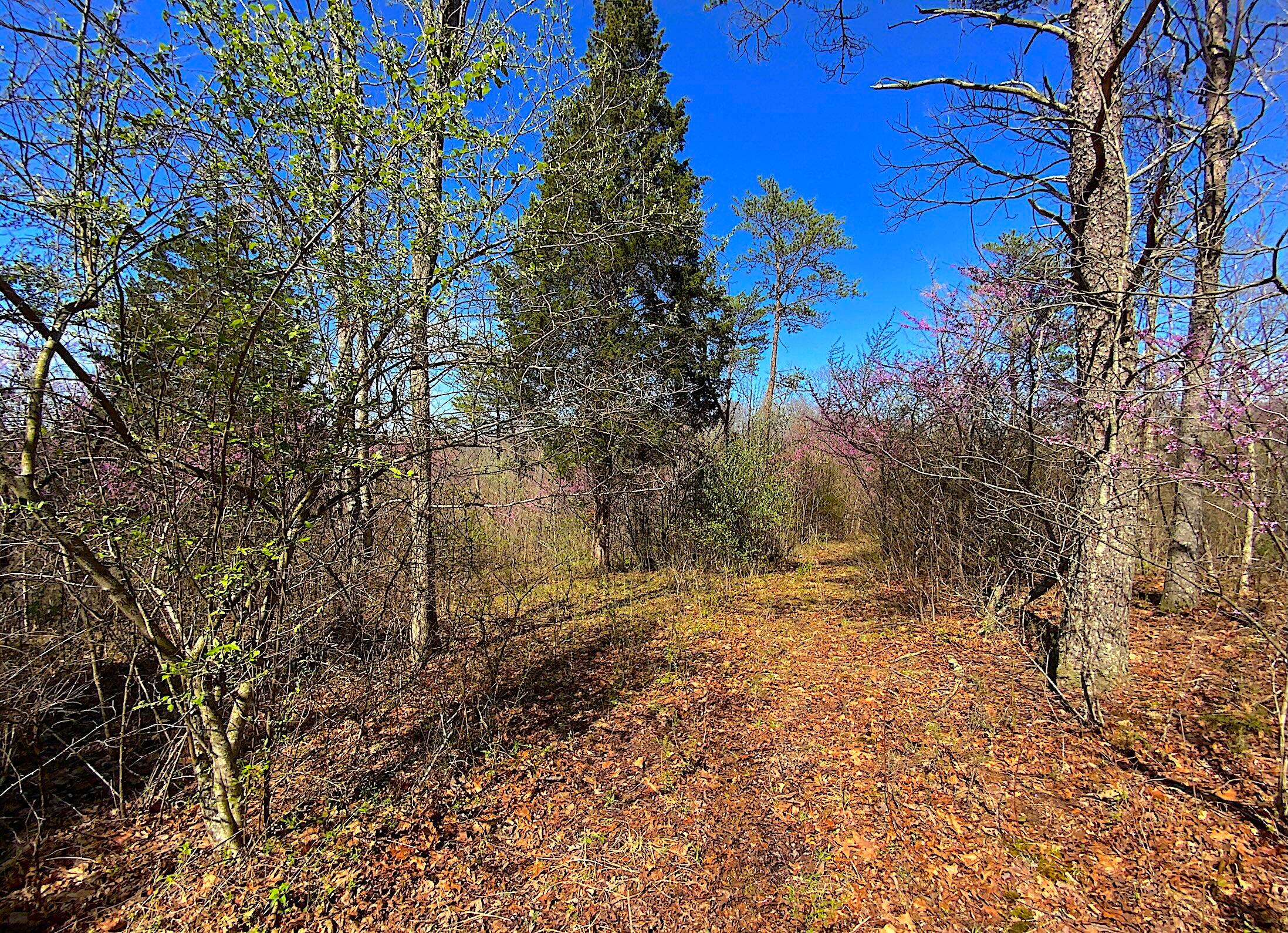 9675 State Route 554, Bidwell, Ohio image 35