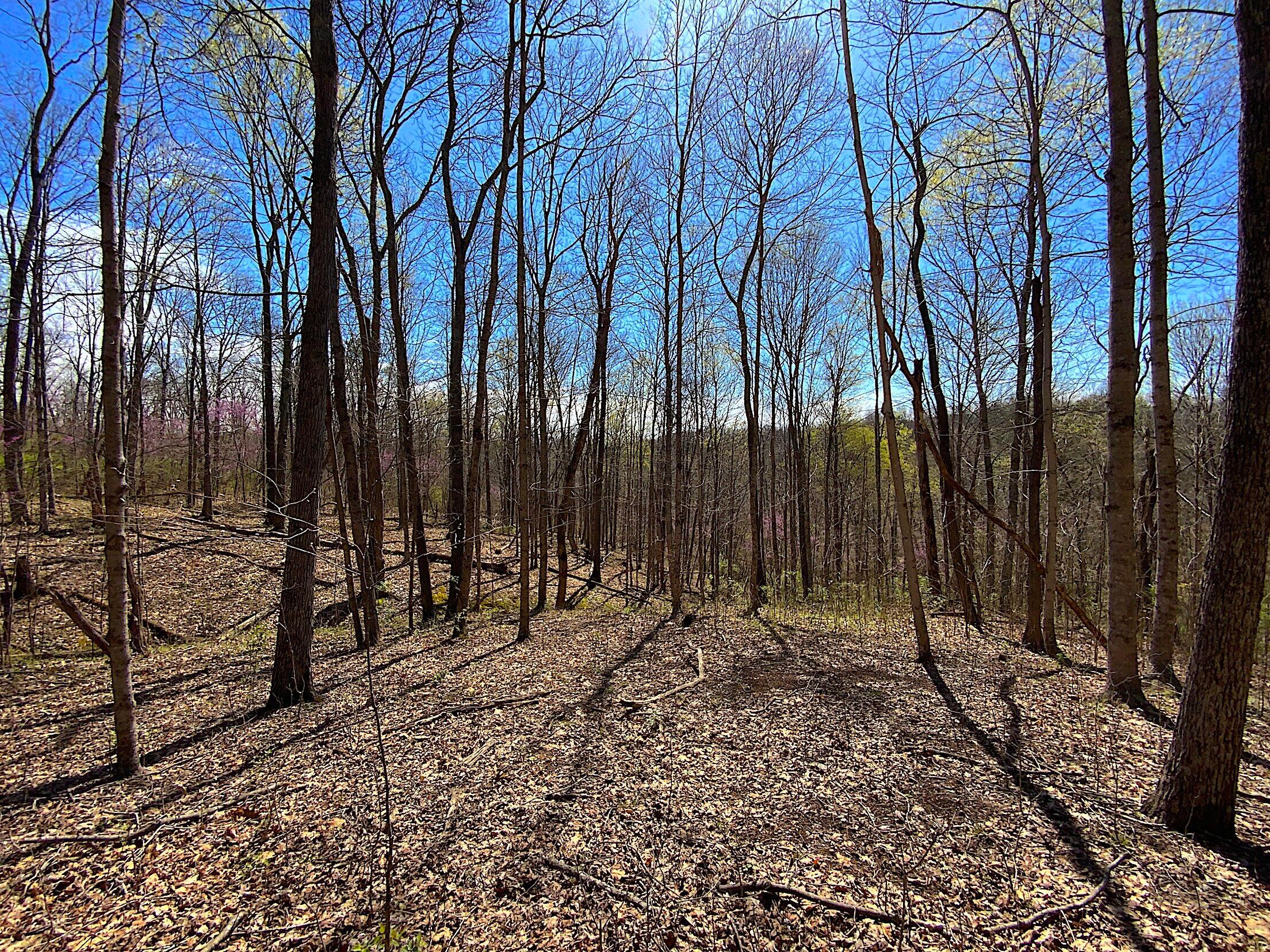 9675 State Route 554, Bidwell, Ohio image 32