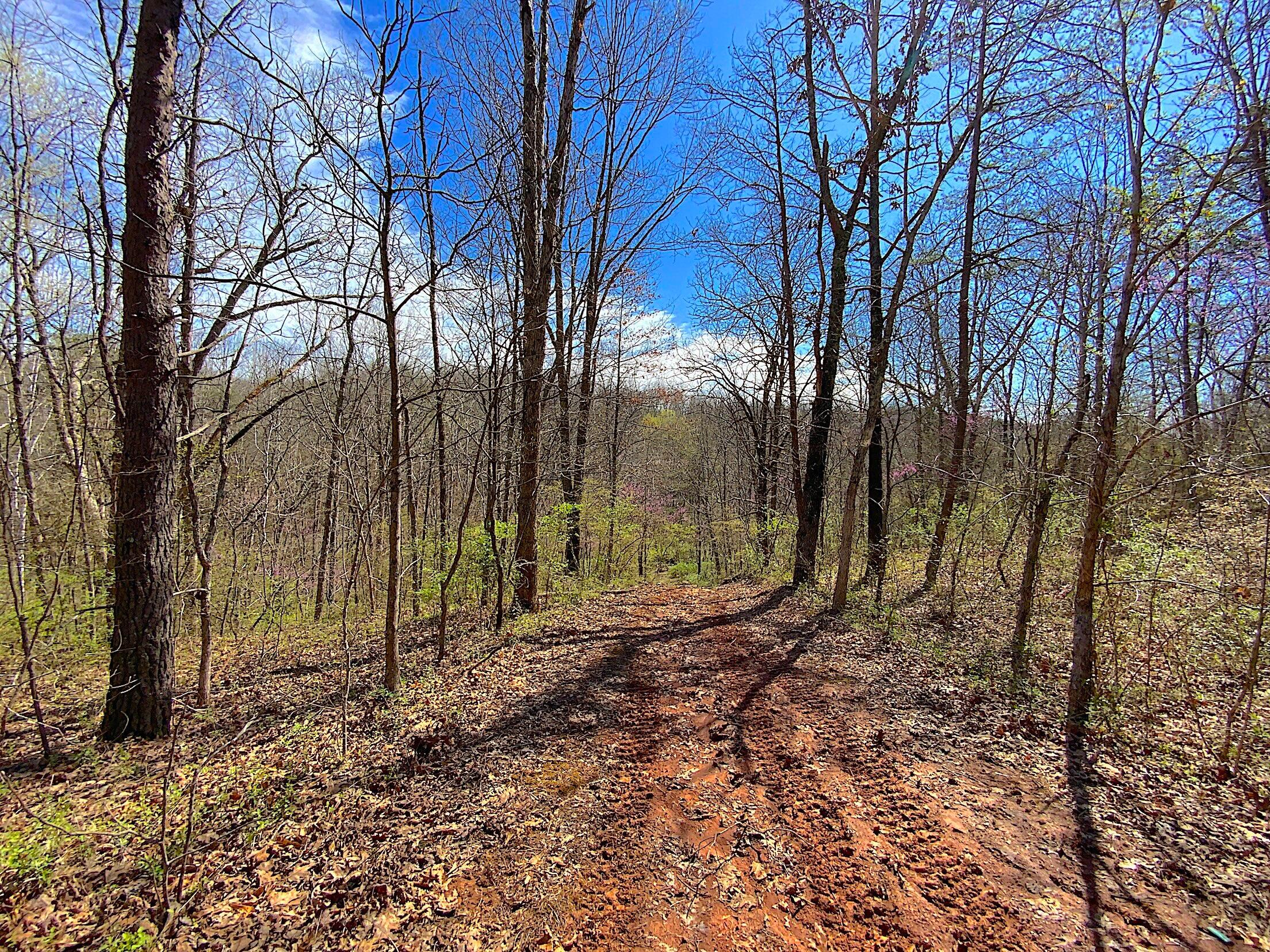 9675 State Route 554, Bidwell, Ohio image 25