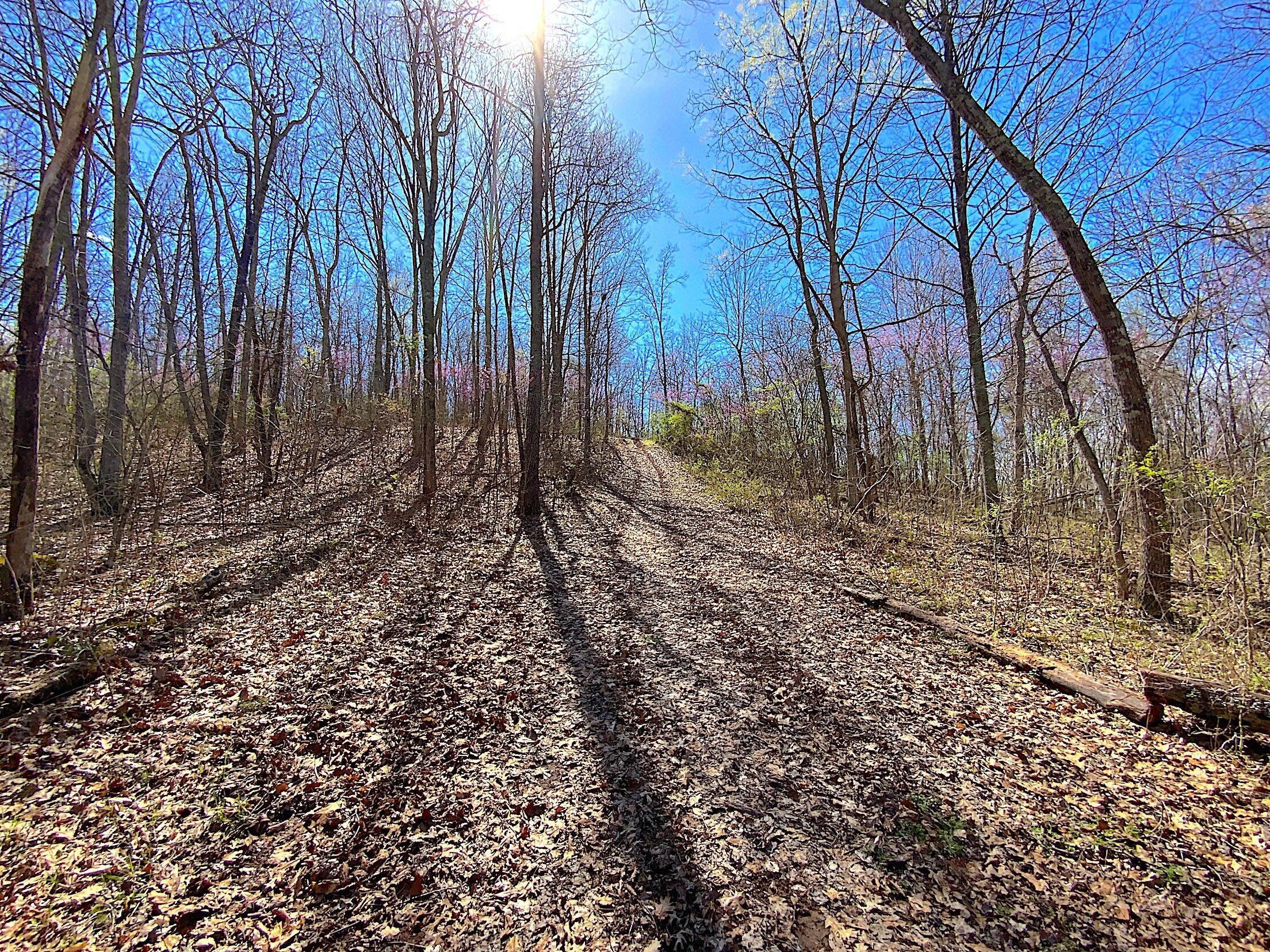 9675 State Route 554, Bidwell, Ohio image 29