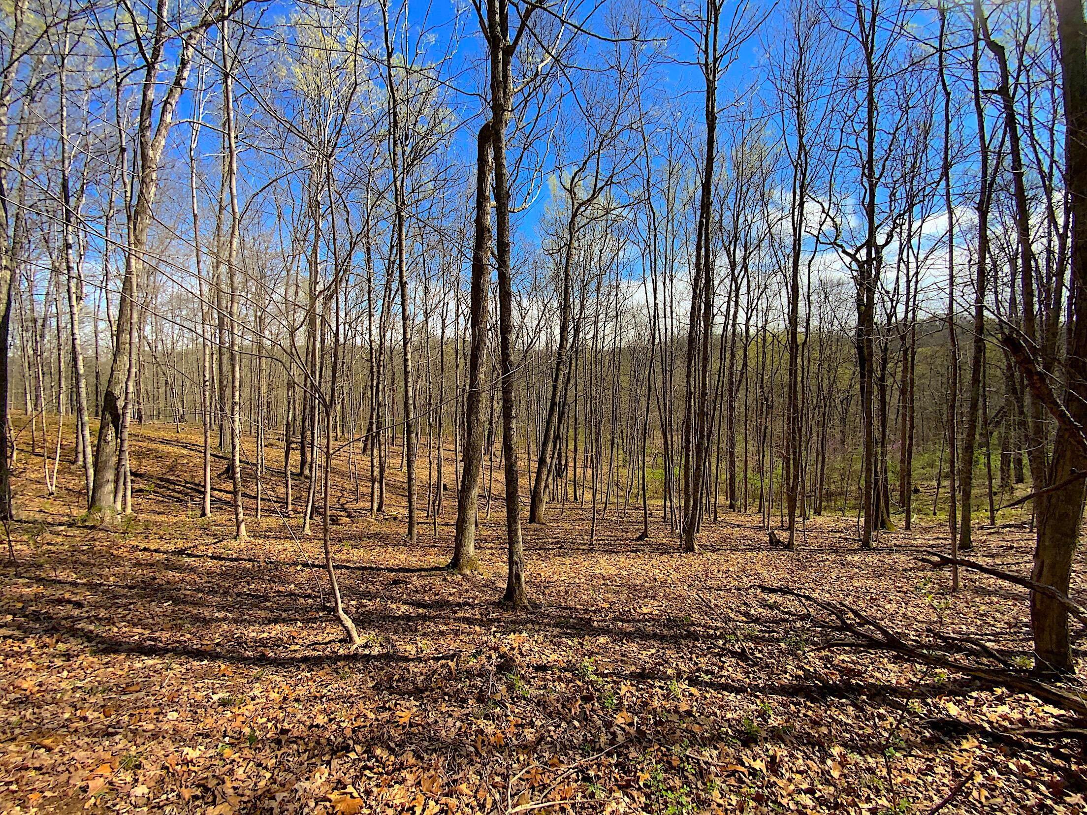 9675 State Route 554, Bidwell, Ohio image 41