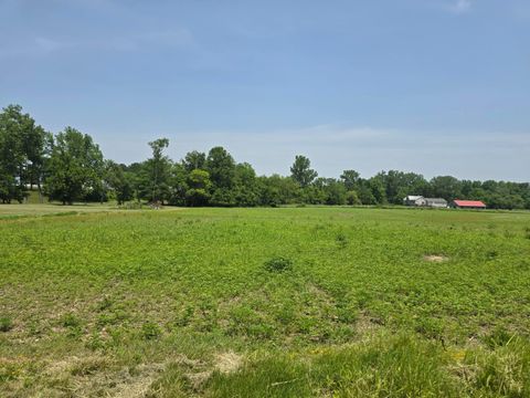 Photo of 0001 Reichelderfer Street, Cardington, OH 43315 (MLS # 225021850)