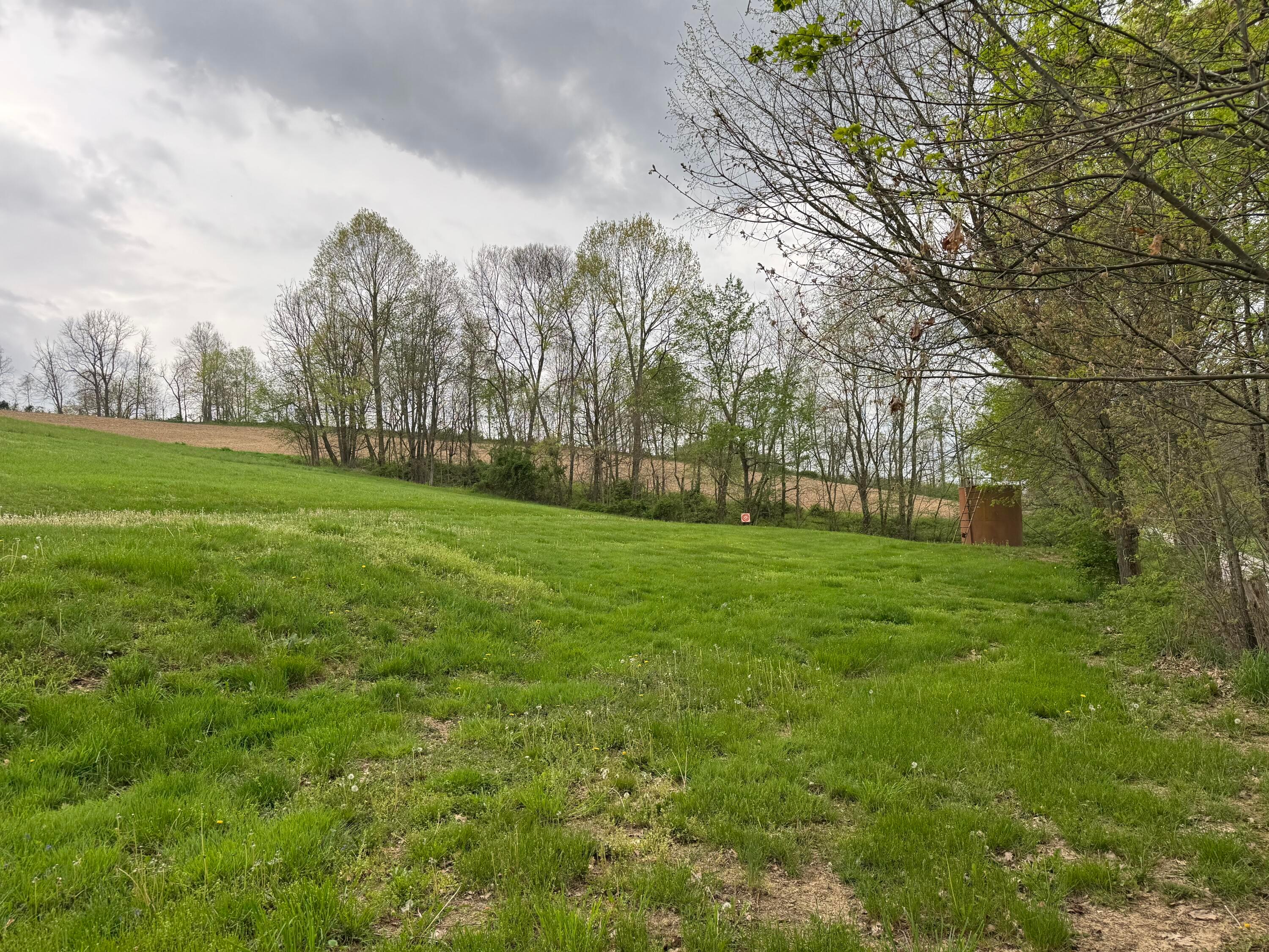 16530 County Road 297, Conesville, Ohio image 6