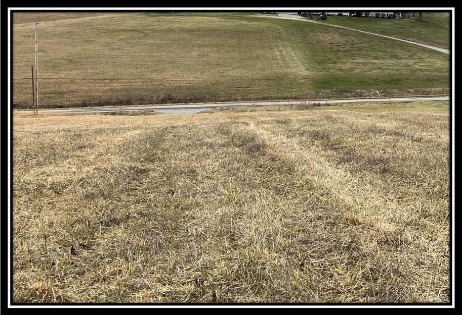 Glade Run Road #TRACT 2, Wellston, Ohio image 8
