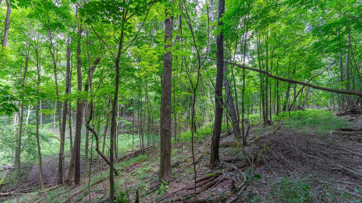 841 Fleming Falls Road, Mansfield, Ohio image 5