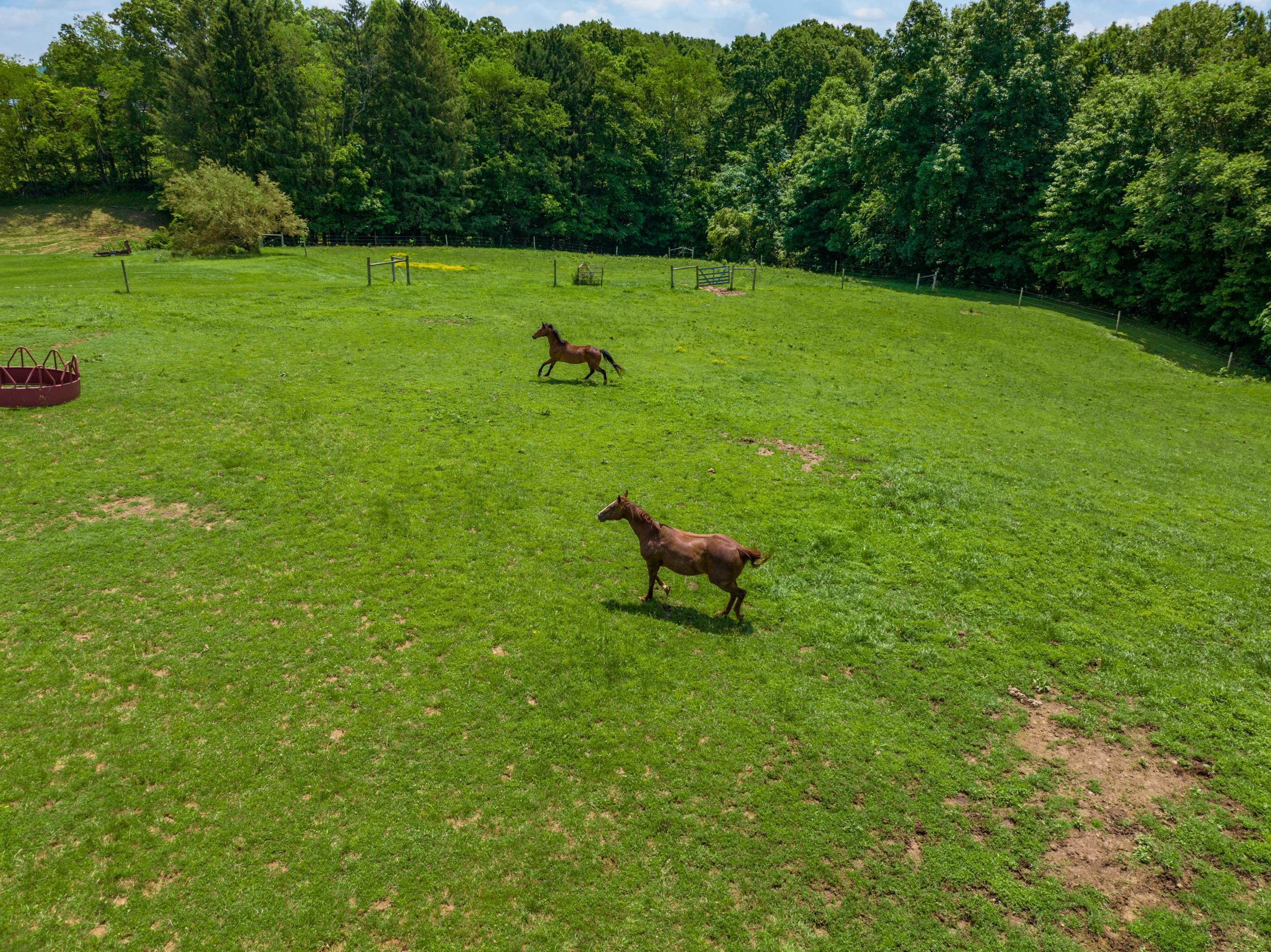 3910 Chandlersville Road, Zanesville, Ohio image 44