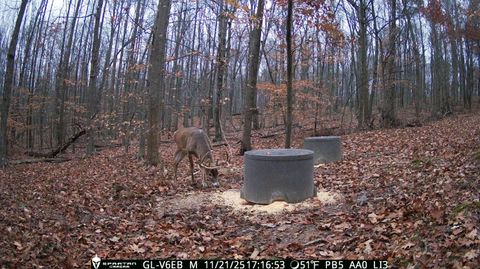 Photo of 9407 Beavers Ridge Road, Piketon, OH 45661 (MLS # 226014108)