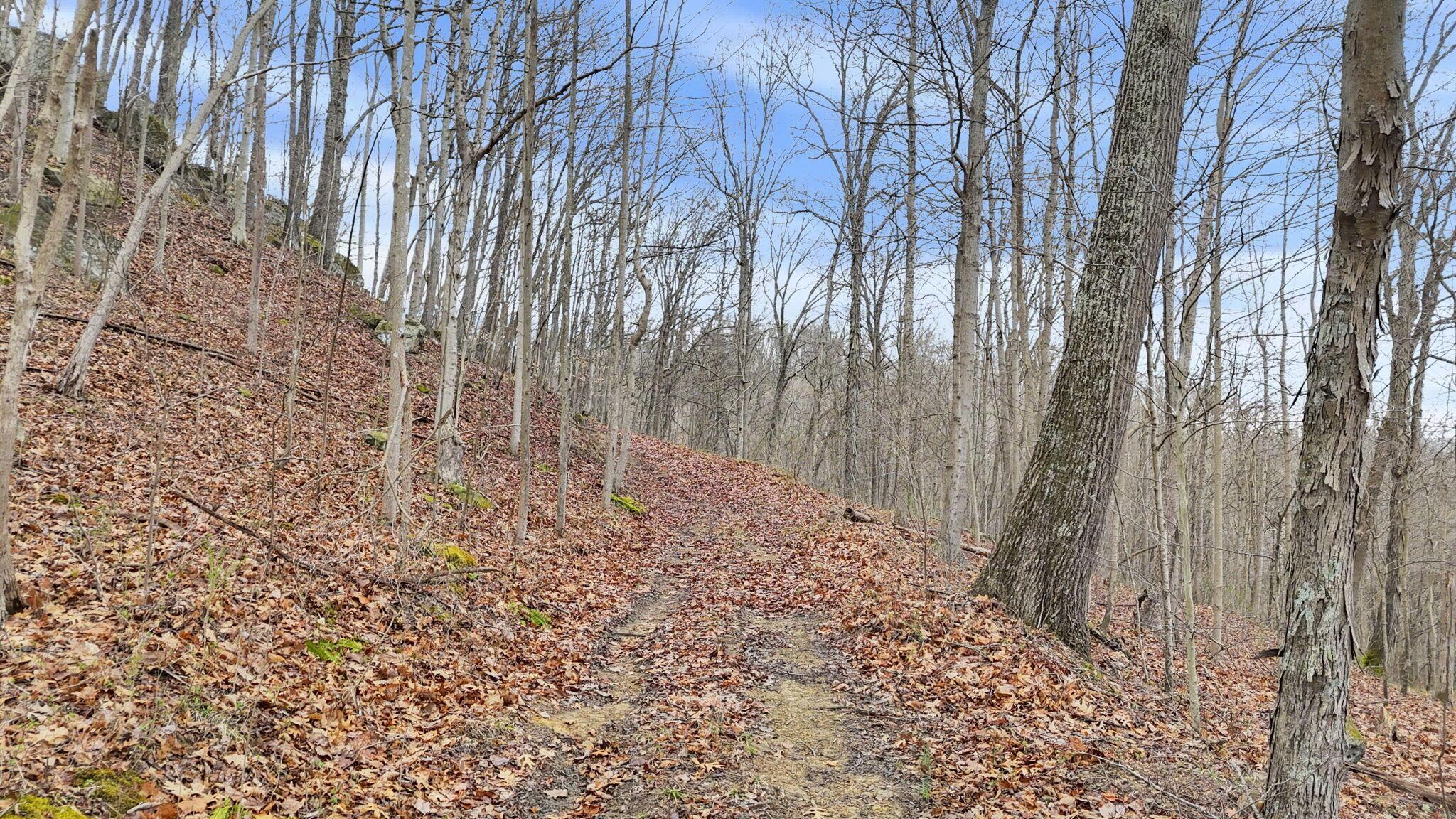 32290 Bailey Run Road, Pomeroy, Ohio image 33