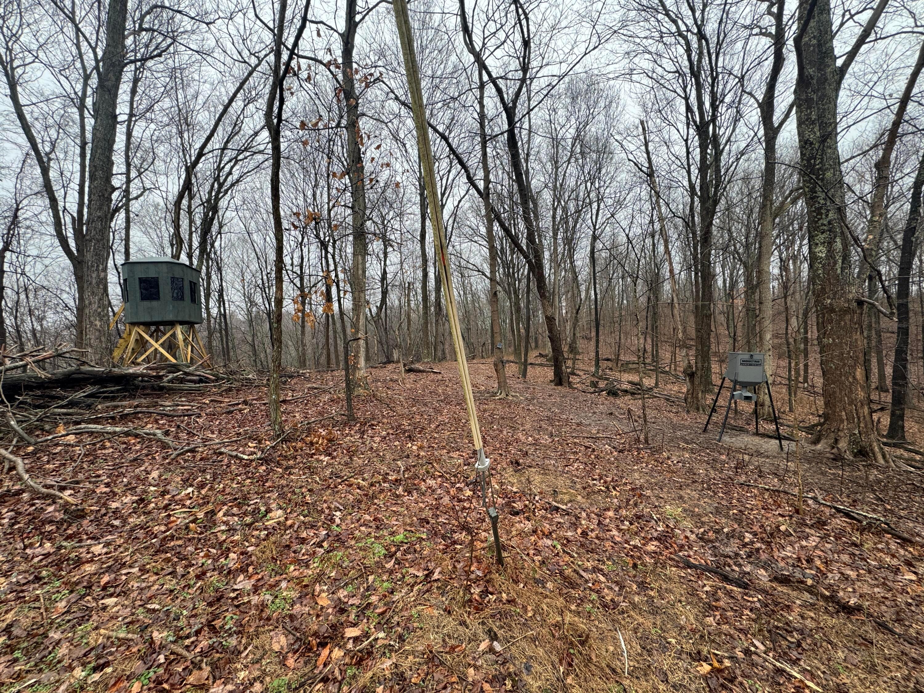 32290 Bailey Run Road, Pomeroy, Ohio image 21