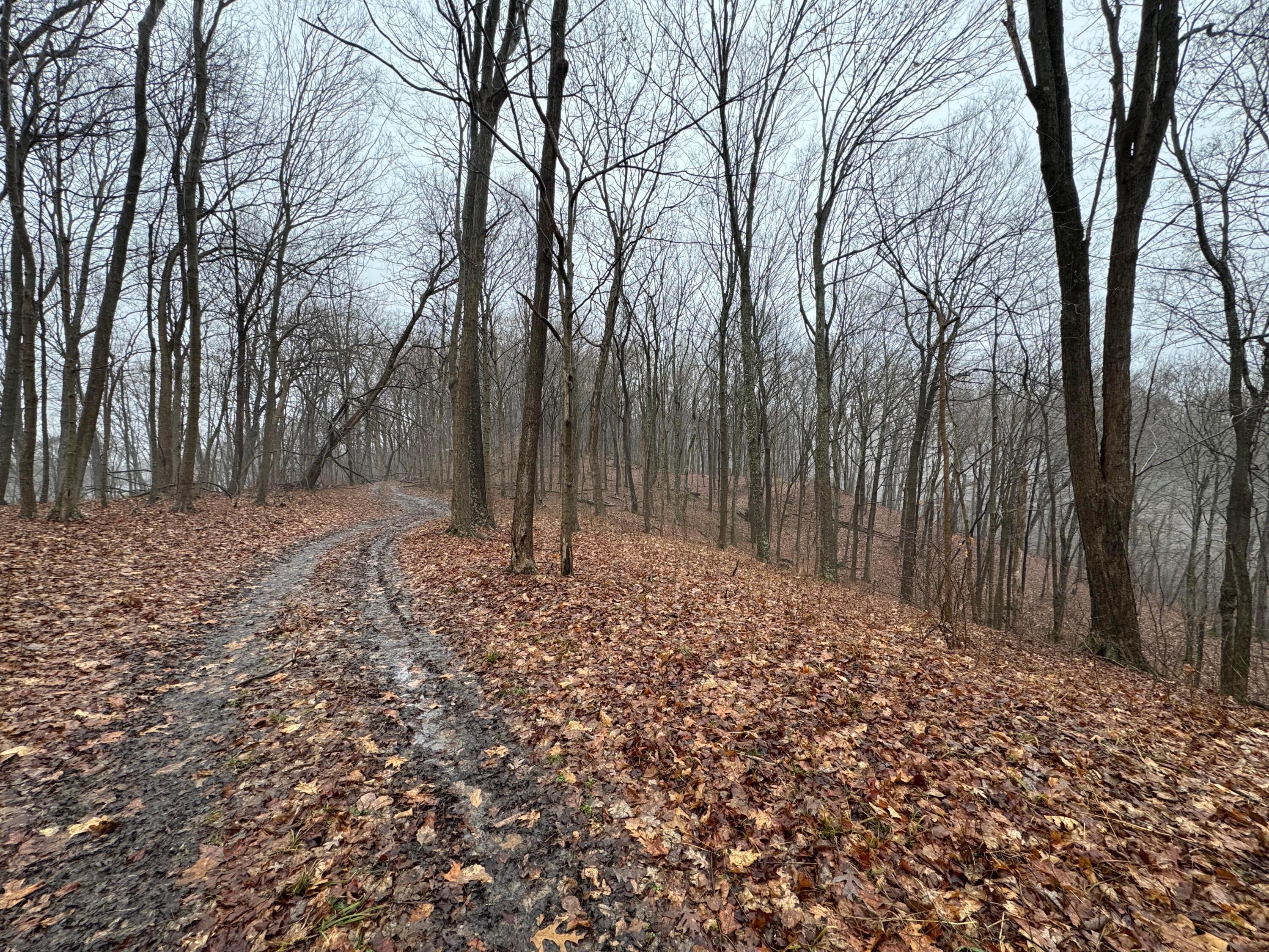 32290 Bailey Run Road, Pomeroy, Ohio image 5