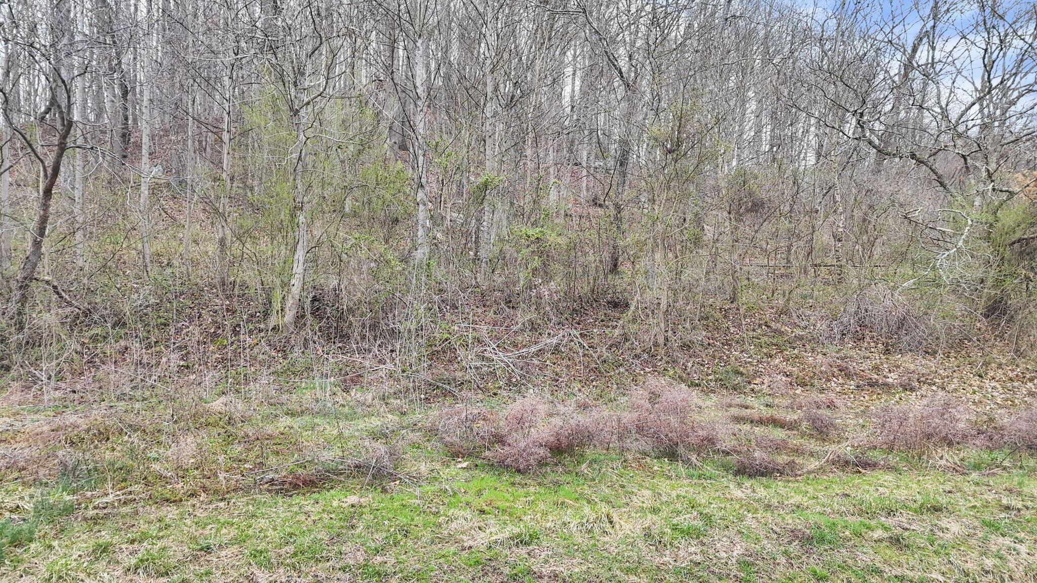 32290 Bailey Run Road, Pomeroy, Ohio image 30