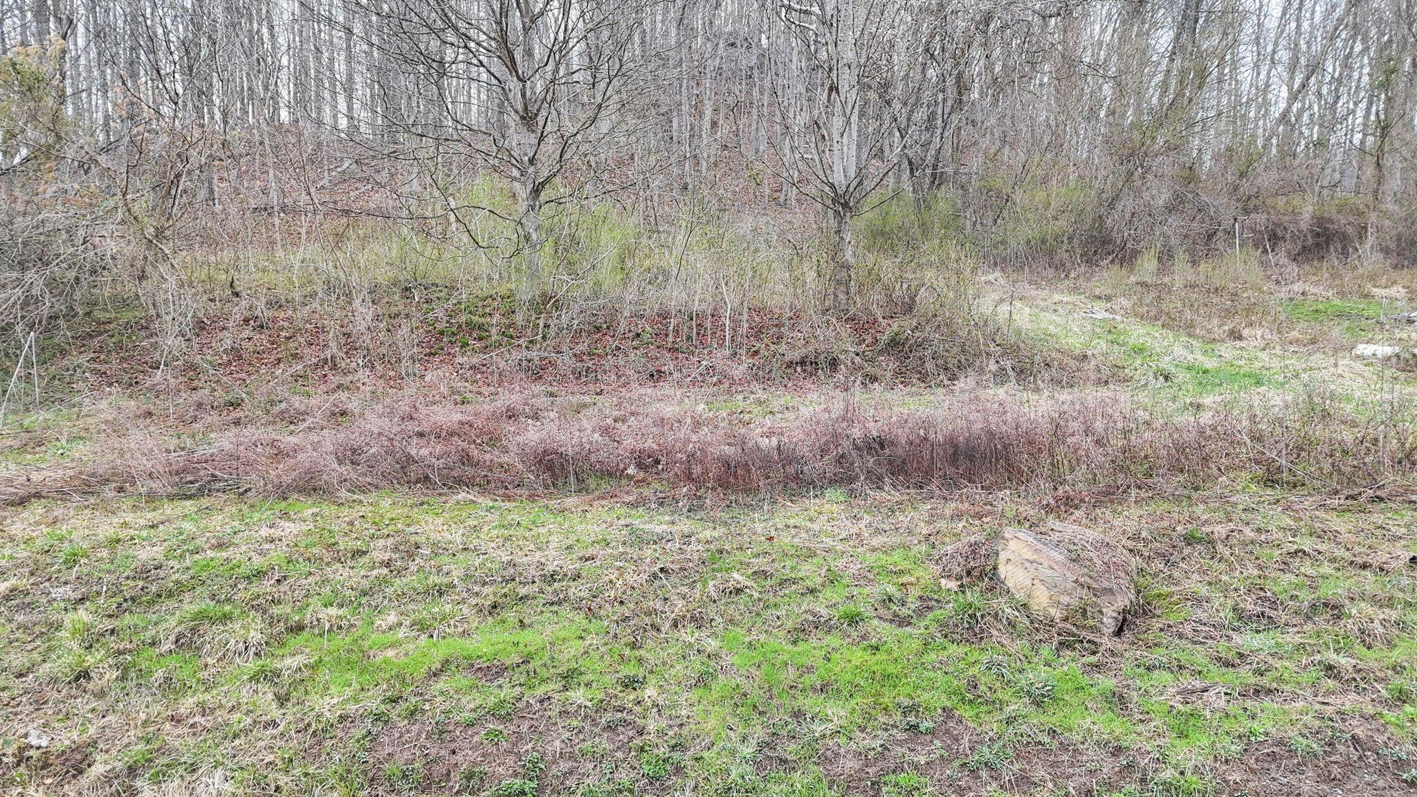 32290 Bailey Run Road, Pomeroy, Ohio image 29
