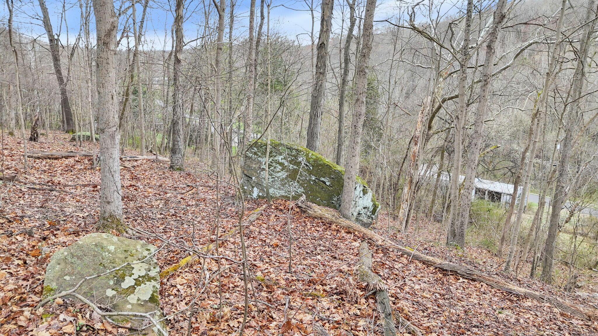 32290 Bailey Run Road, Pomeroy, Ohio image 35