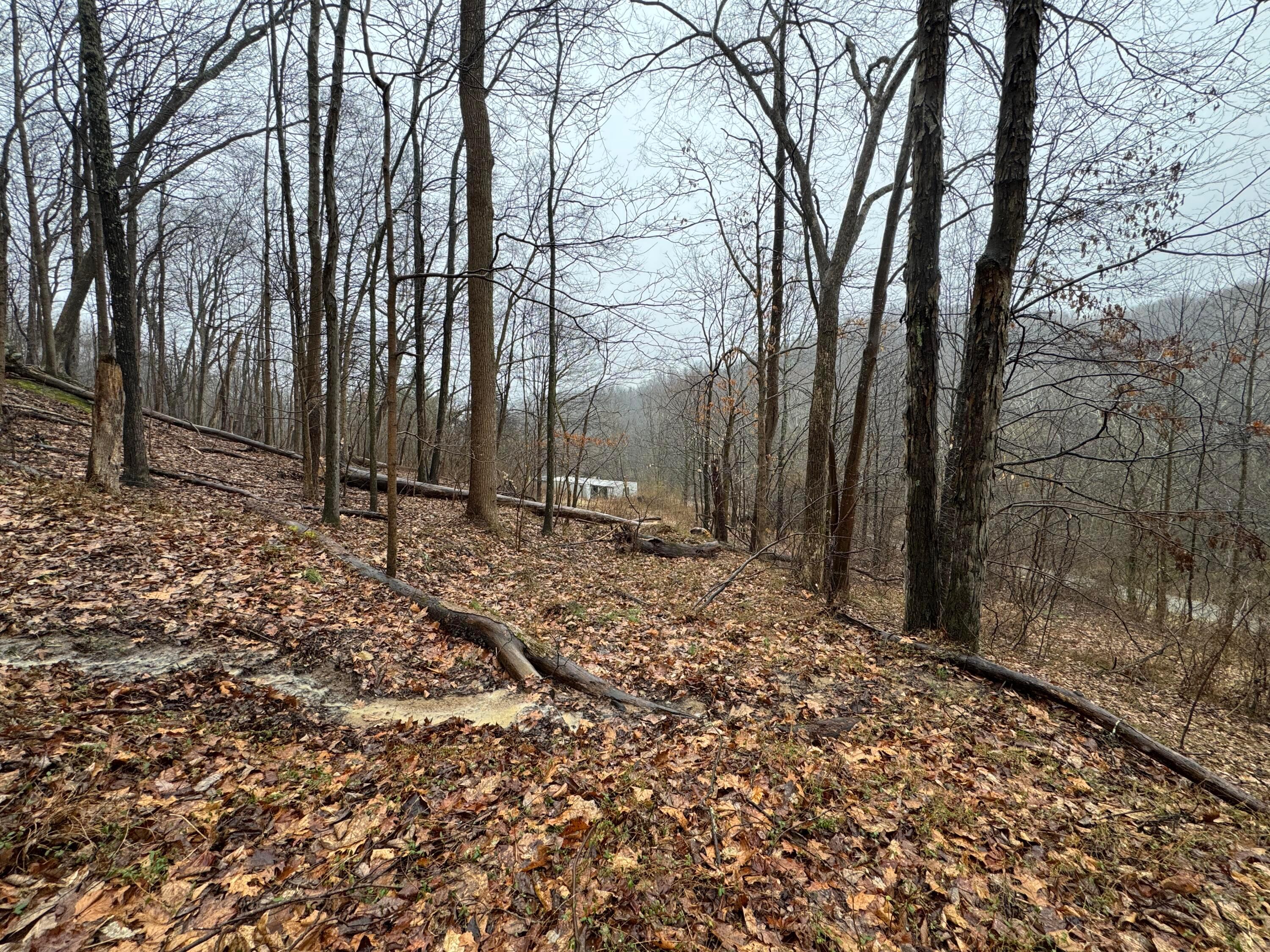 32290 Bailey Run Road, Pomeroy, Ohio image 1