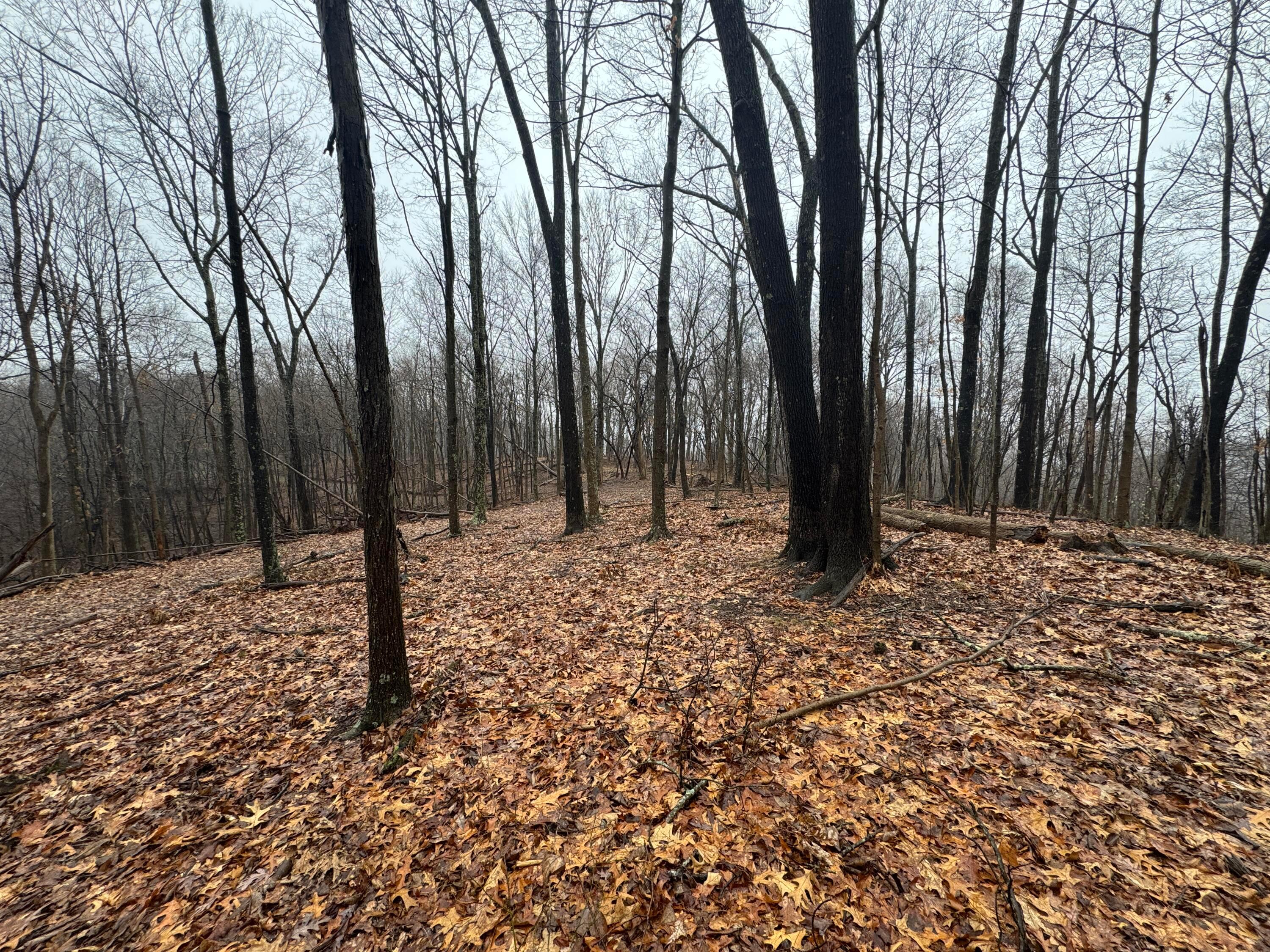 32290 Bailey Run Road, Pomeroy, Ohio image 20