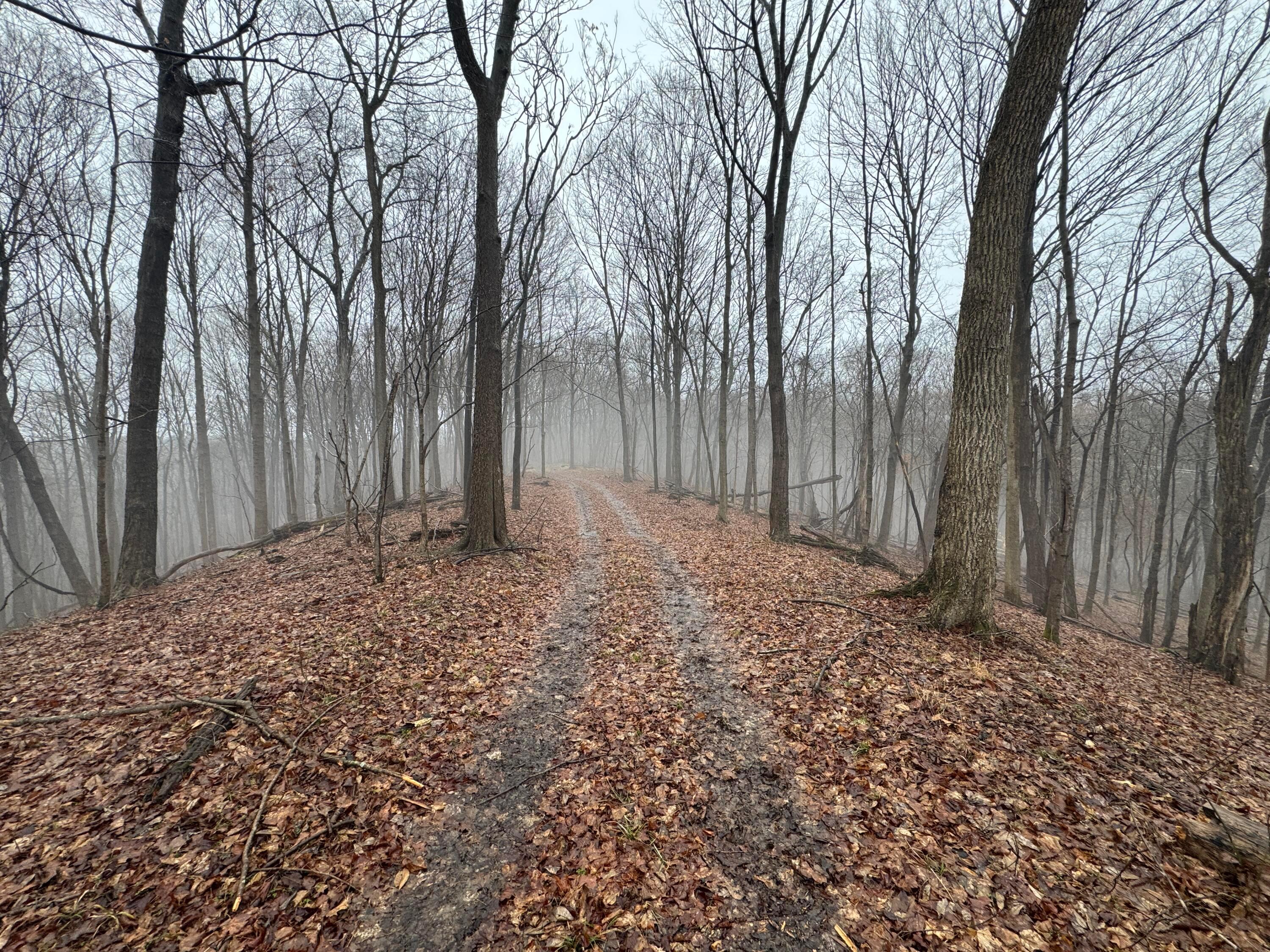 32290 Bailey Run Road, Pomeroy, Ohio image 4