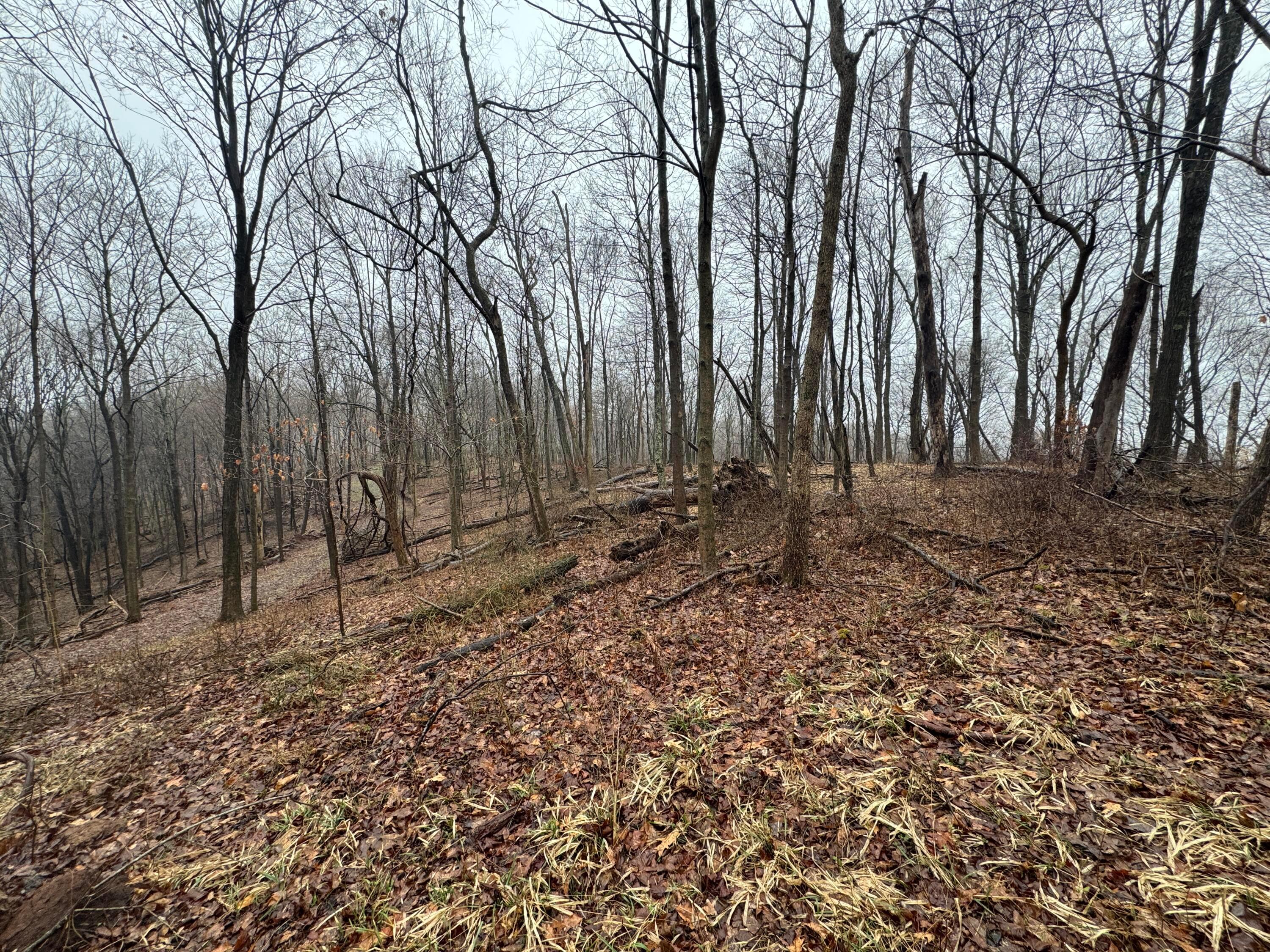 32290 Bailey Run Road, Pomeroy, Ohio image 19