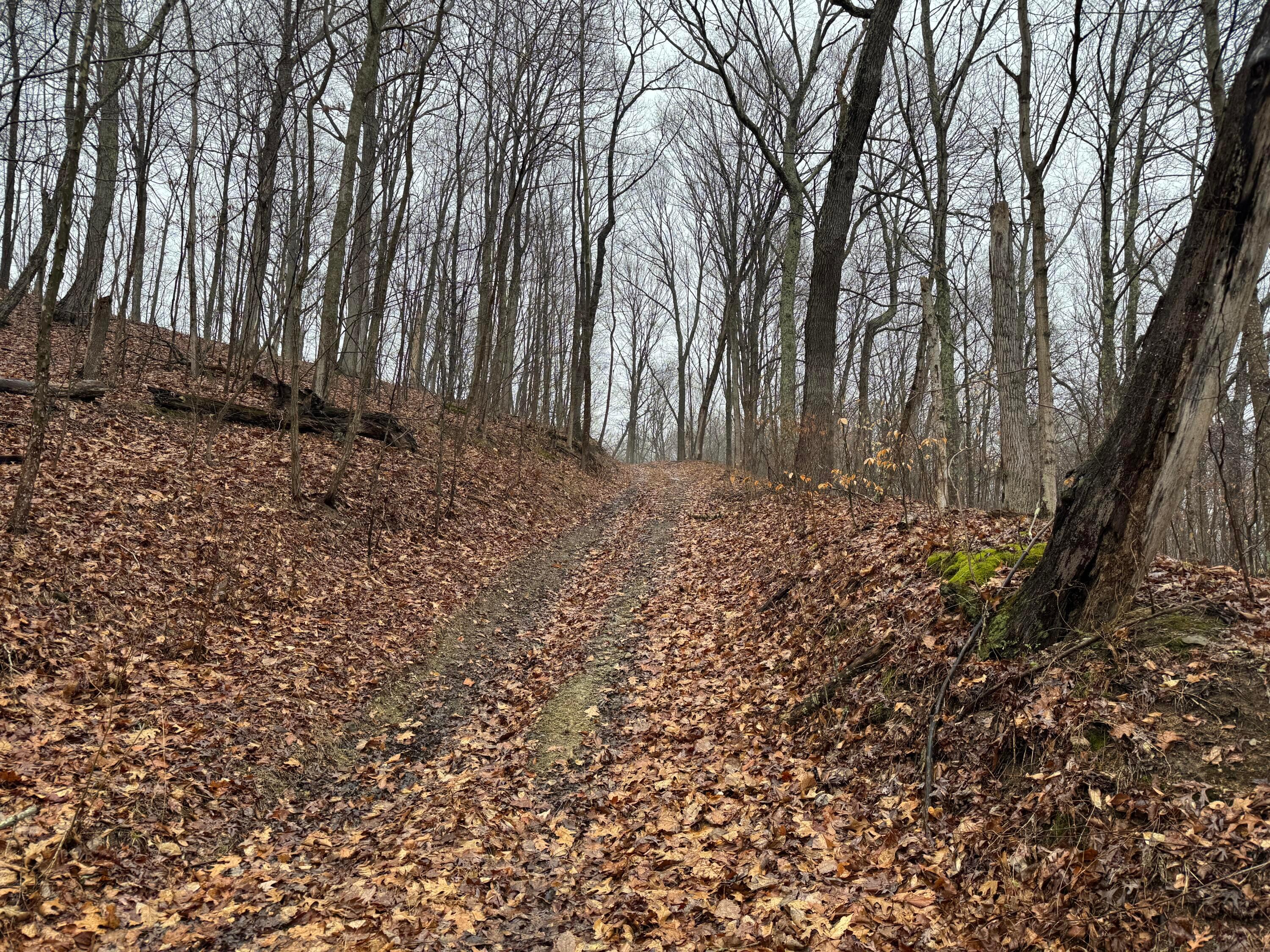 32290 Bailey Run Road, Pomeroy, Ohio image 3