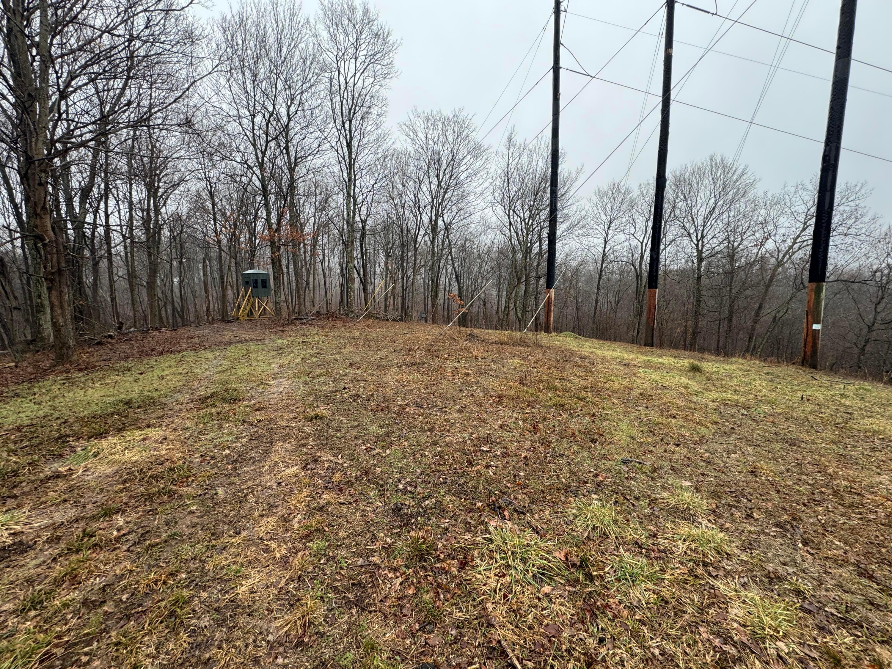 32290 Bailey Run Road, Pomeroy, Ohio image 17