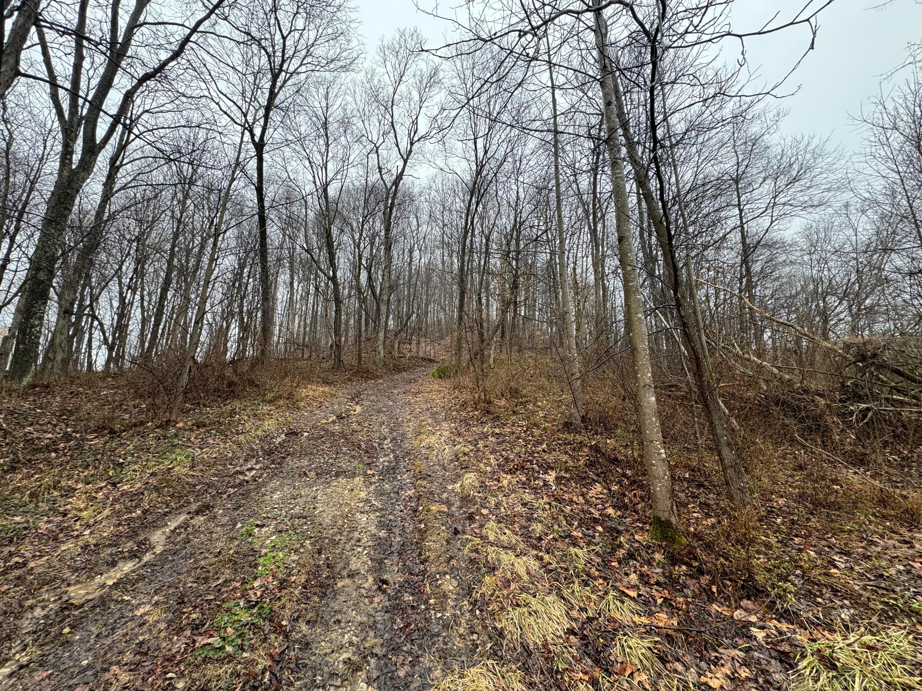 32290 Bailey Run Road, Pomeroy, Ohio image 7