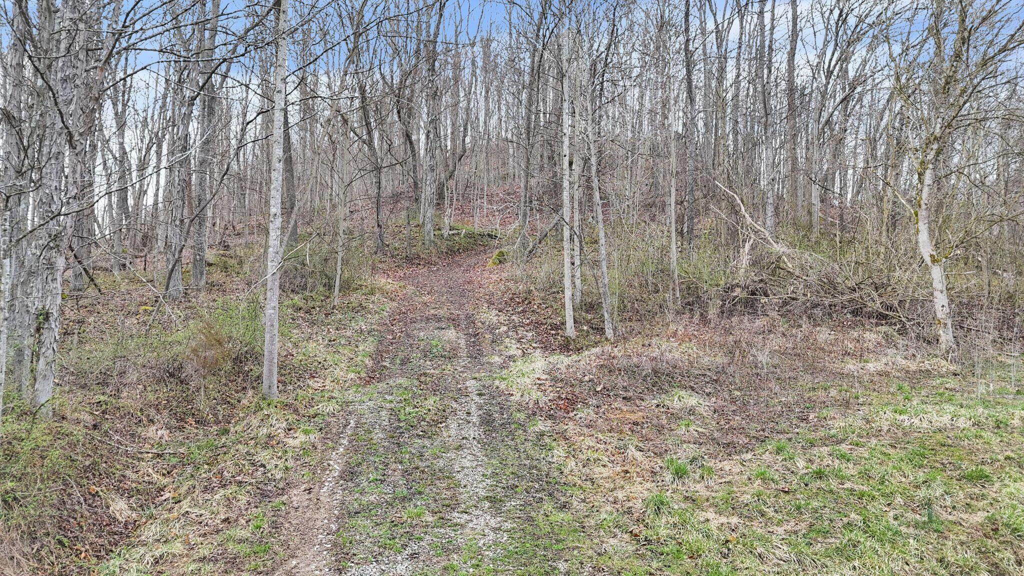32290 Bailey Run Road, Pomeroy, Ohio image 31