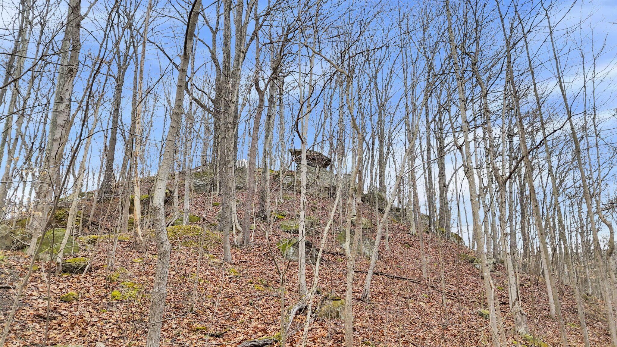 32290 Bailey Run Road, Pomeroy, Ohio image 34
