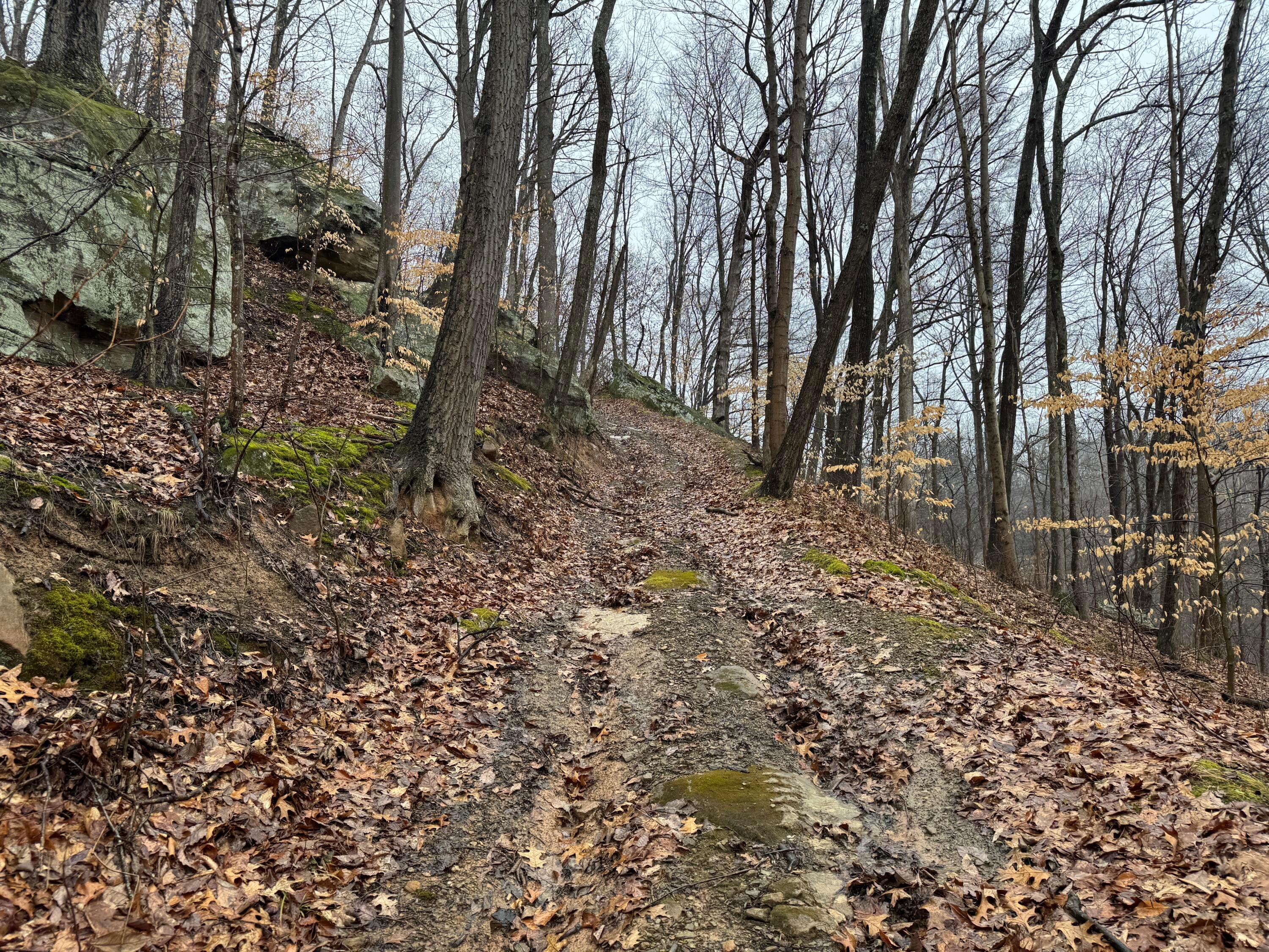 32290 Bailey Run Road, Pomeroy, Ohio image 2