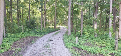 Tiny photo for 19508 County Road 190, Kenton, OH 43326 (MLS # 226032239)