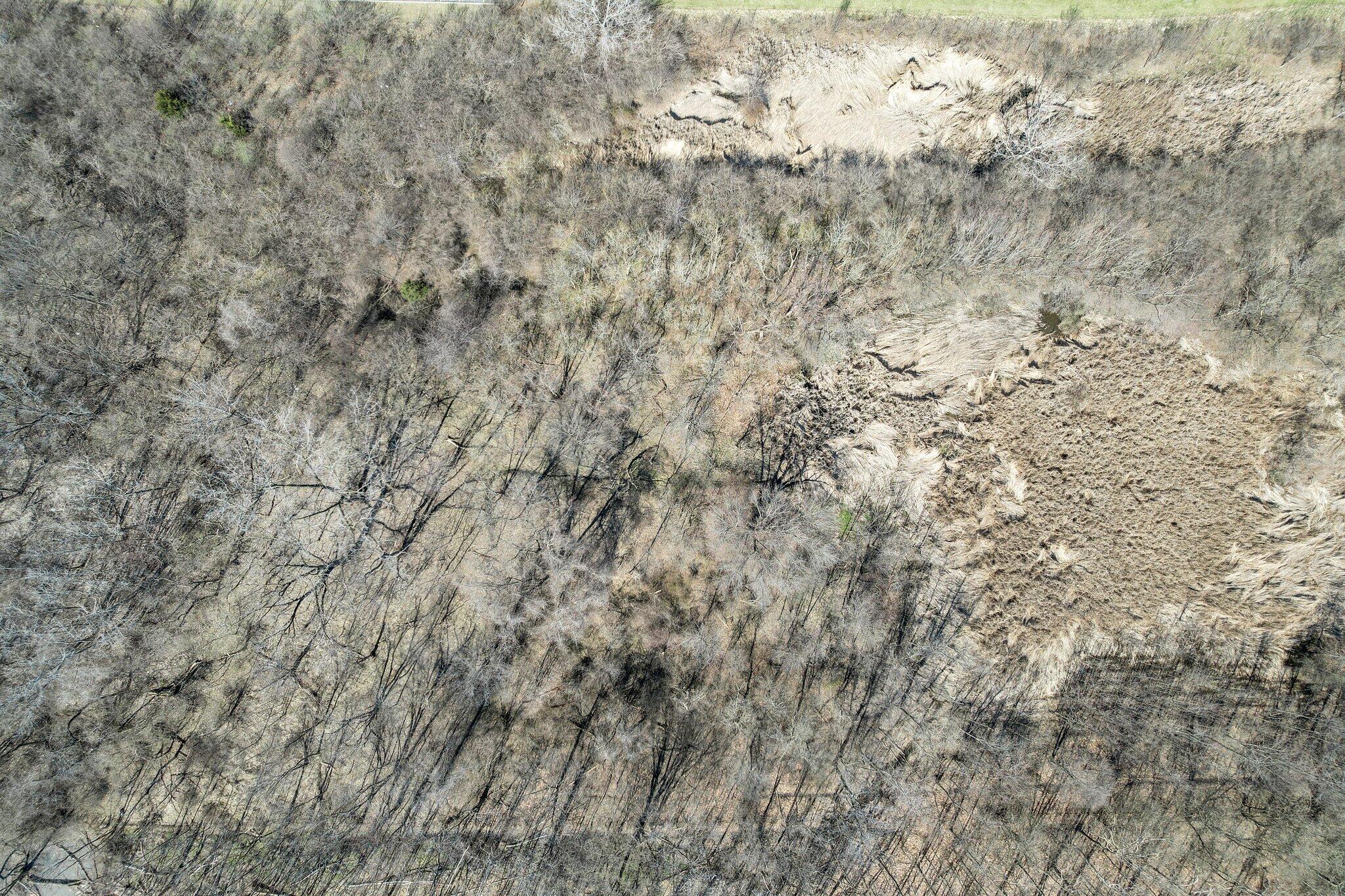 Alum Creek Drive, Columbus, Ohio image 13