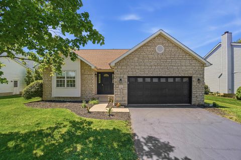 111 Grove Run Road Commercial Point OH 43116