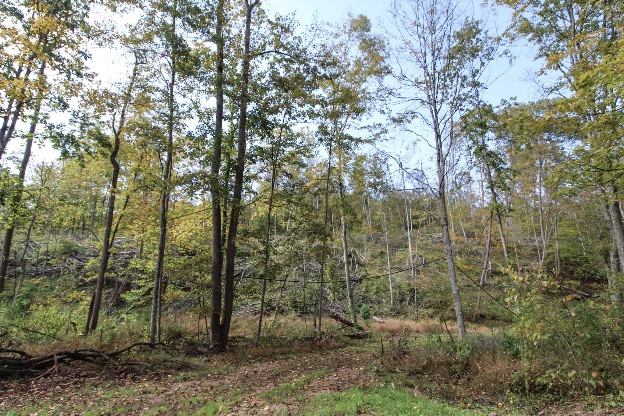 Cow Run Road, Marietta, Ohio image 6