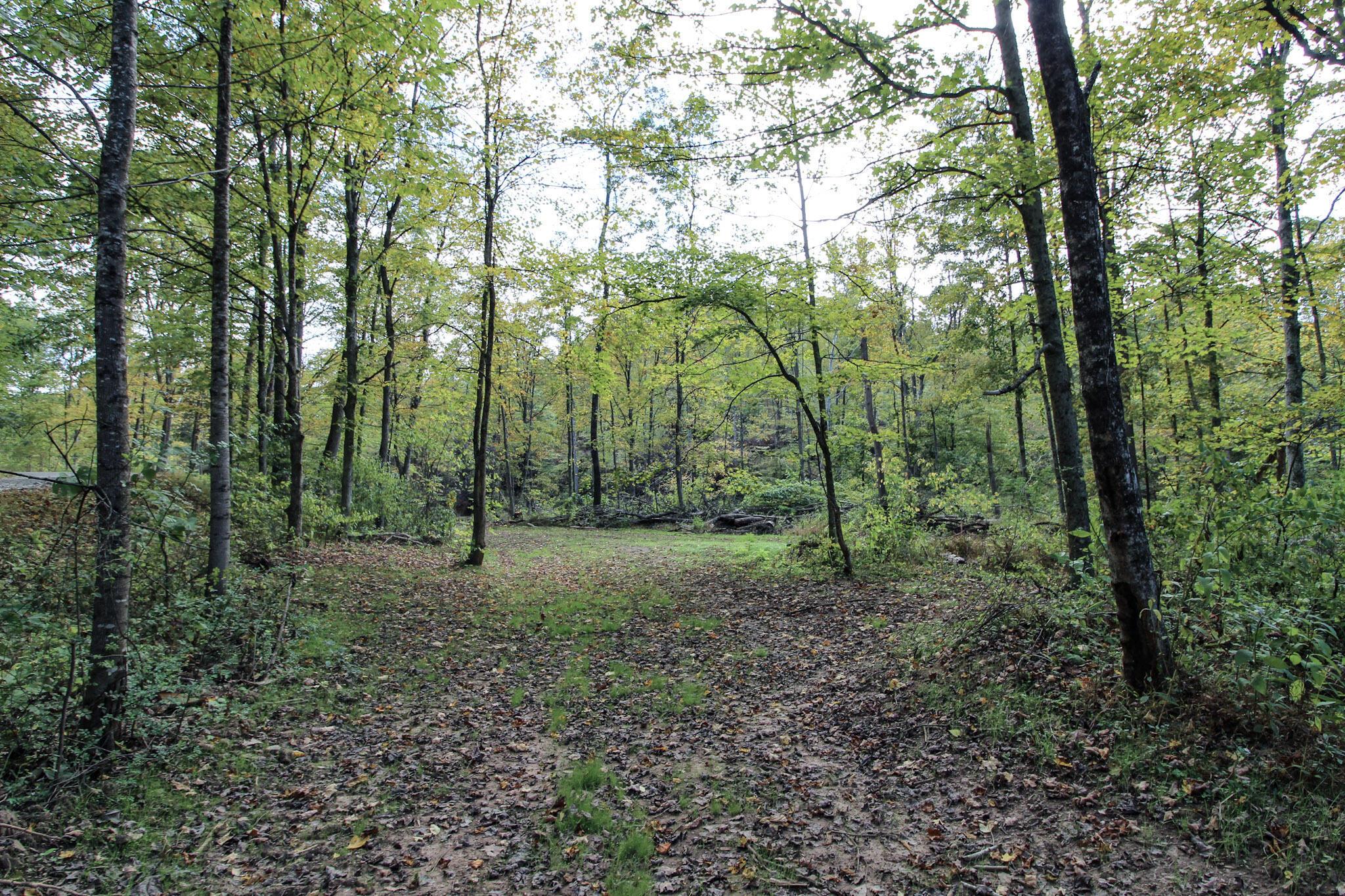 Cow Run Road, Marietta, Ohio image 5