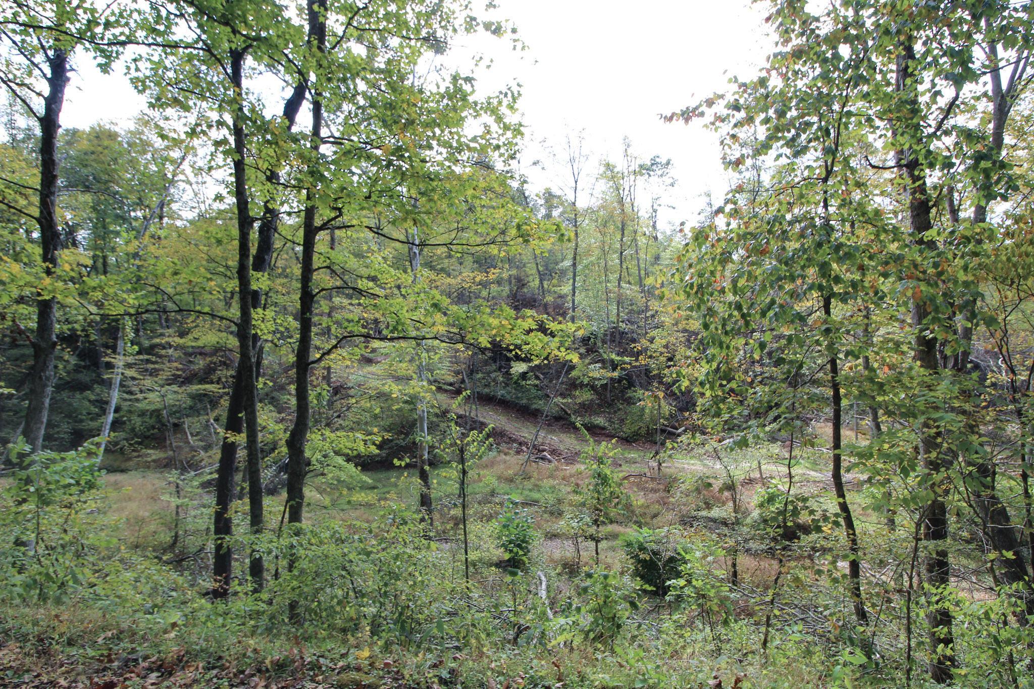 Cow Run Road, Marietta, Ohio image 4