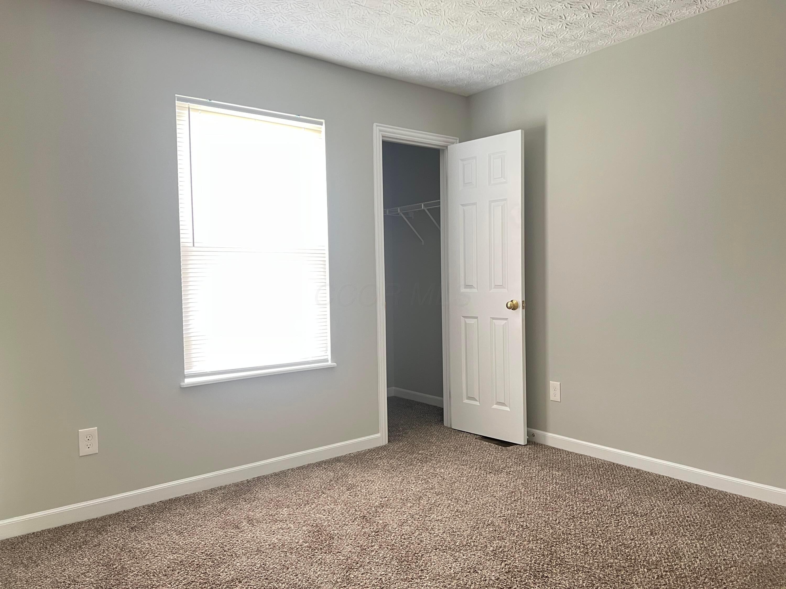 5966 Twin Pine Drive, New Albany, Ohio image 11