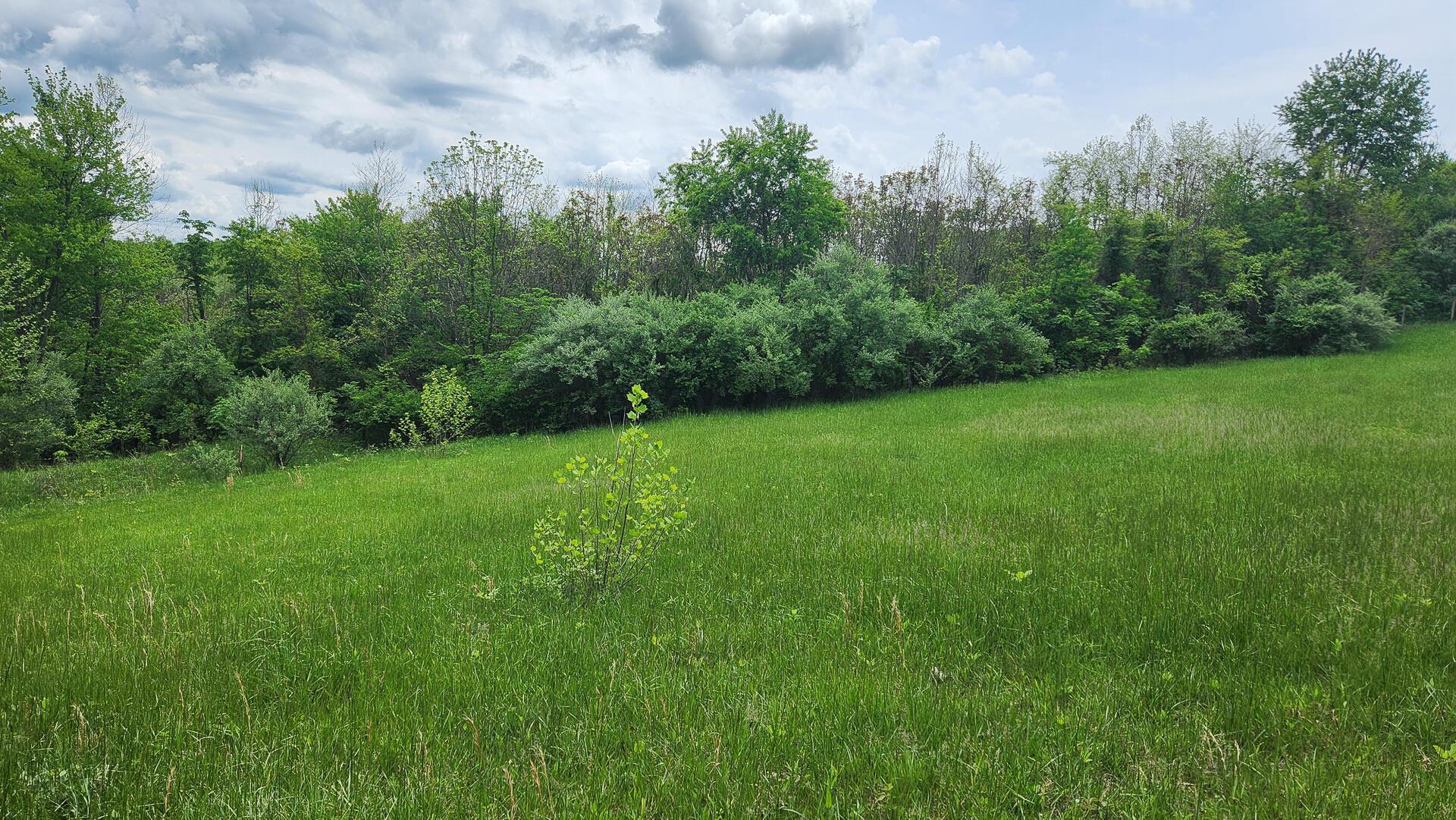 Sr 684 Road #TRACT 6 ALBANY WOODS, Albany, Ohio image 32